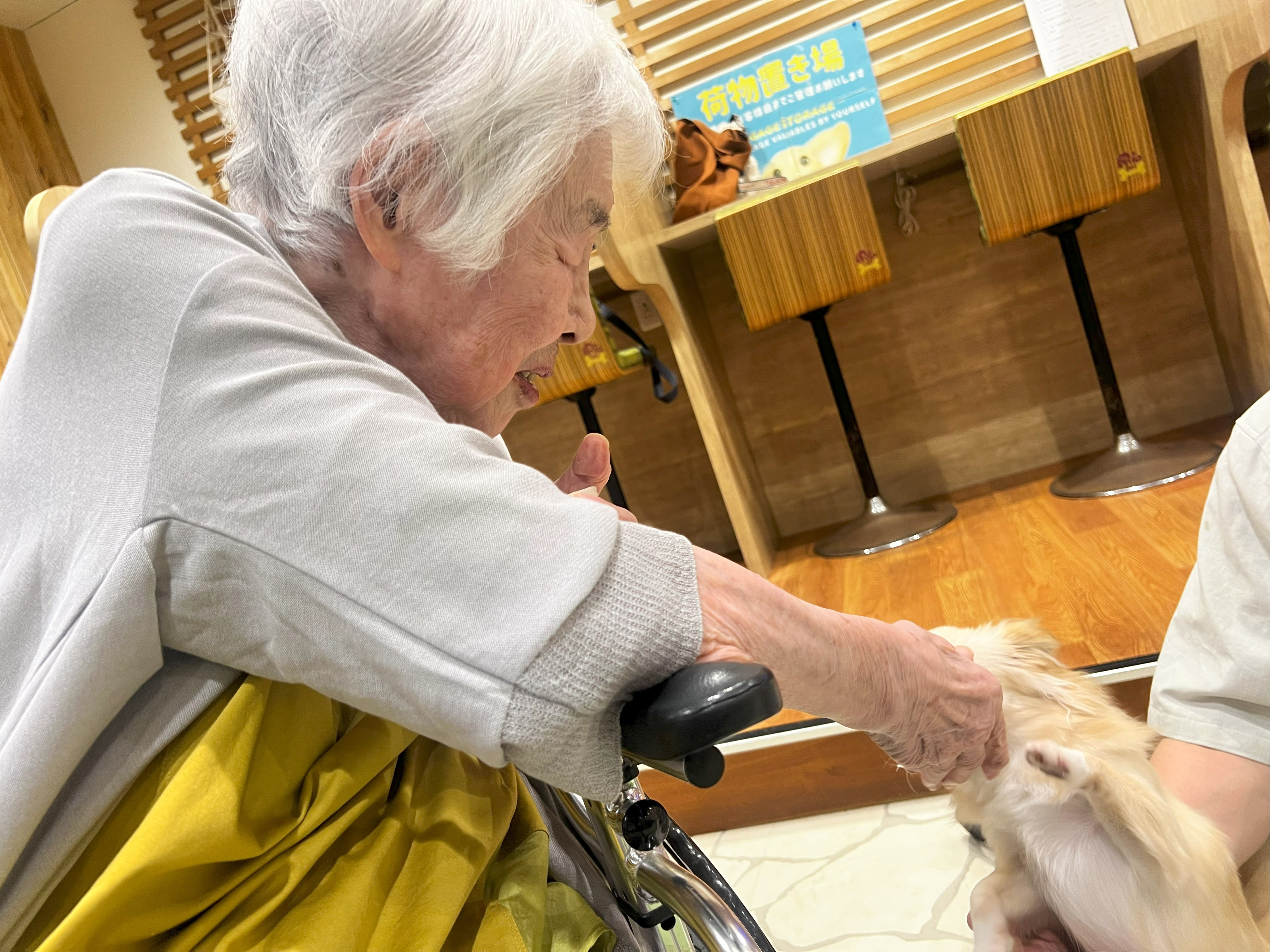 外部リハビリ~犬と触れ合いたい~