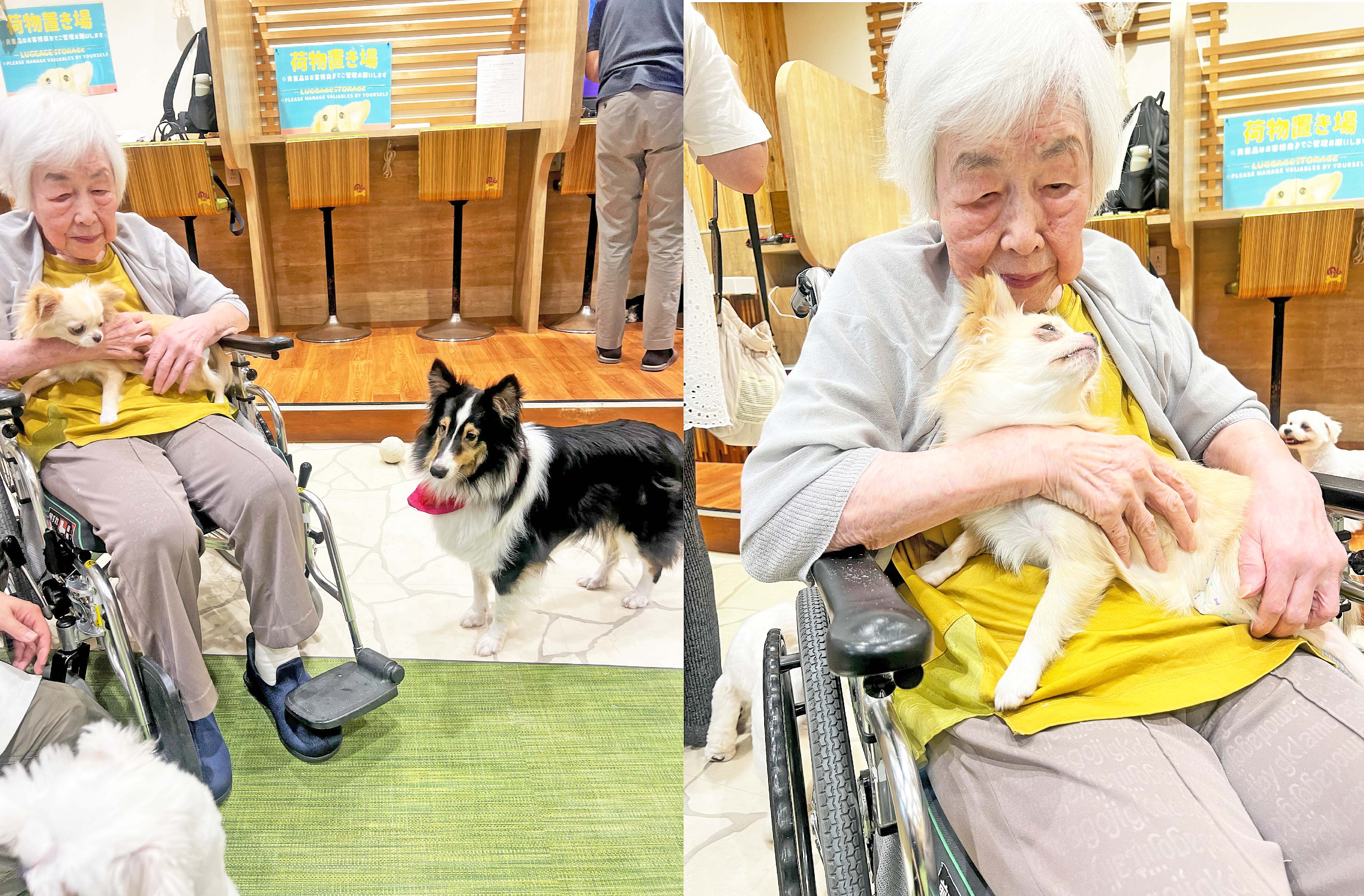 外部リハビリ~犬と触れ合いたい~