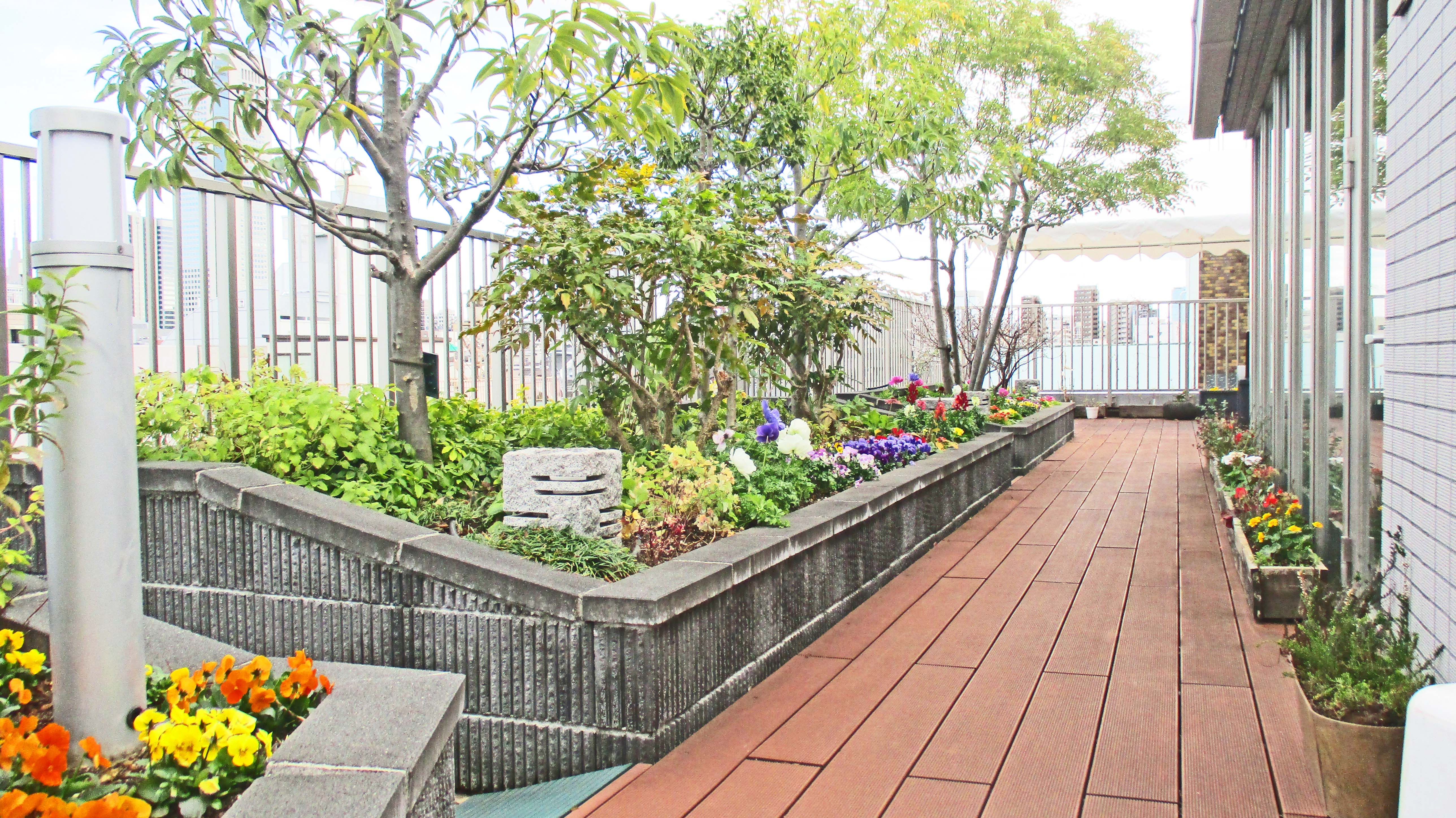 １２月の屋上庭園