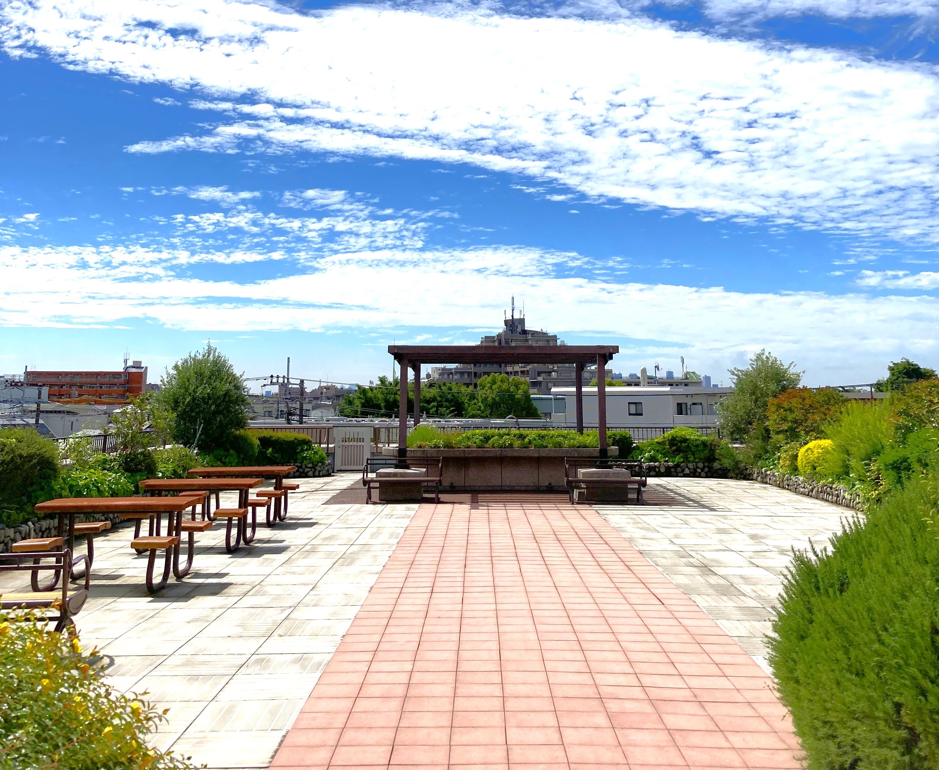 ホームのシンボル　屋上庭園の空