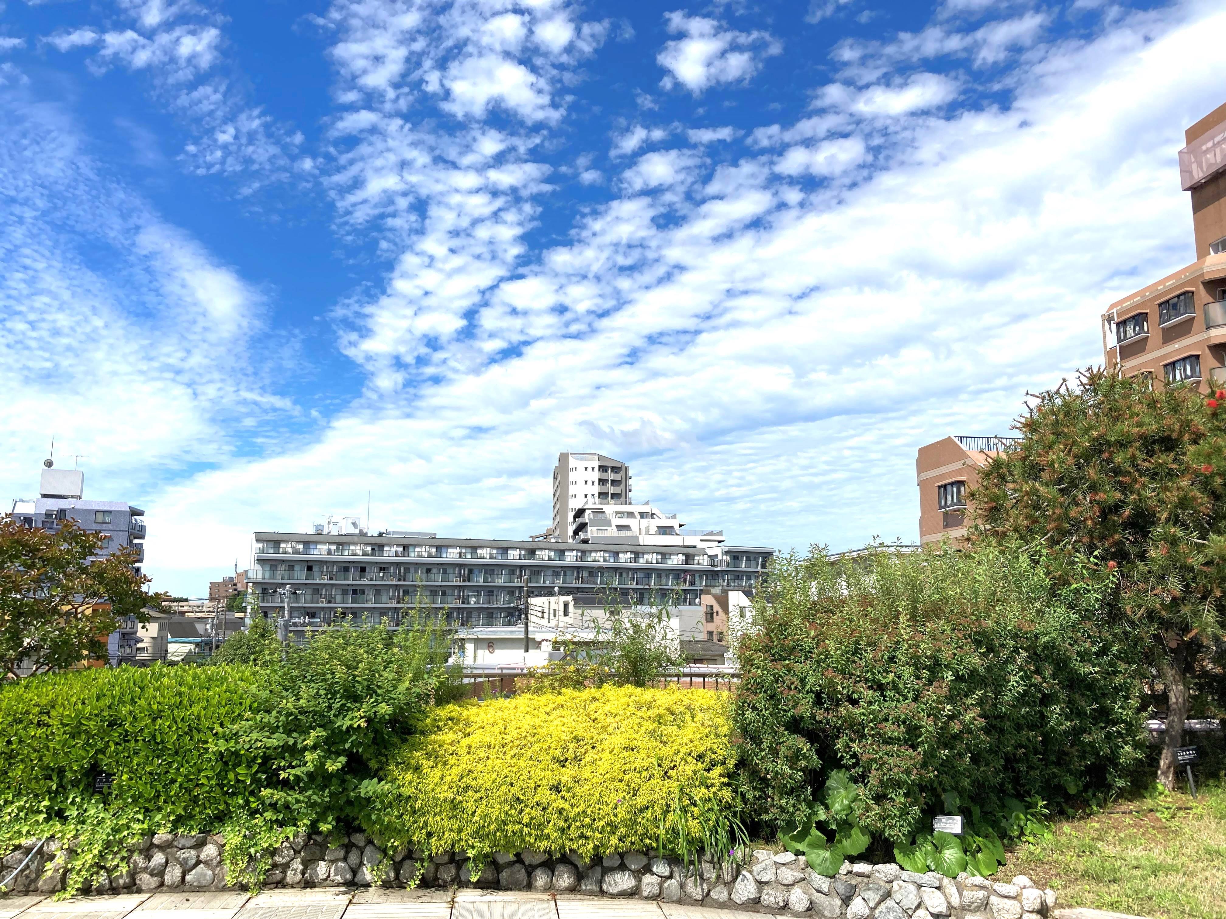 ホームのシンボル　屋上庭園の空