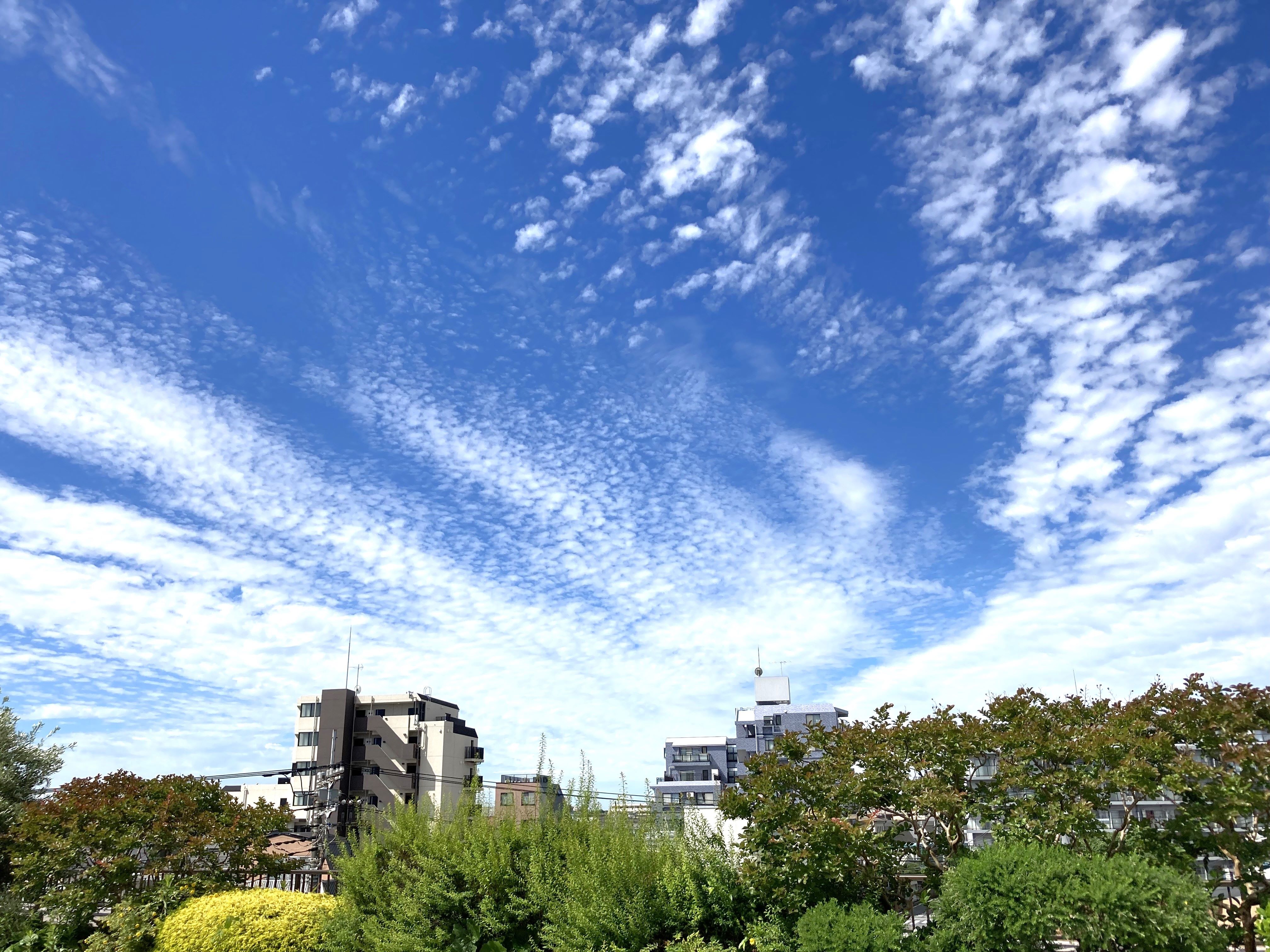 ホームのシンボル　屋上庭園の空