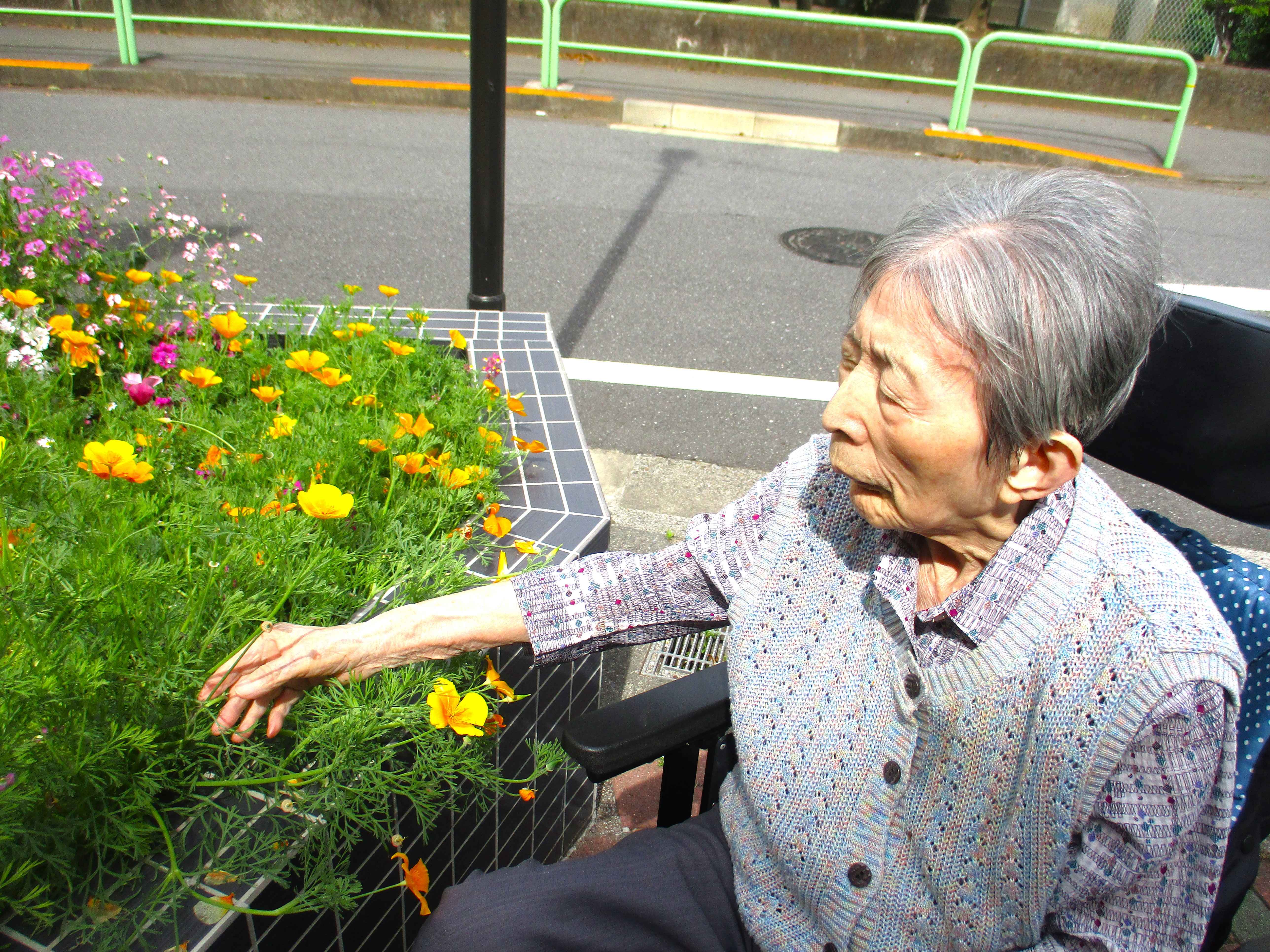 中庭のお散歩