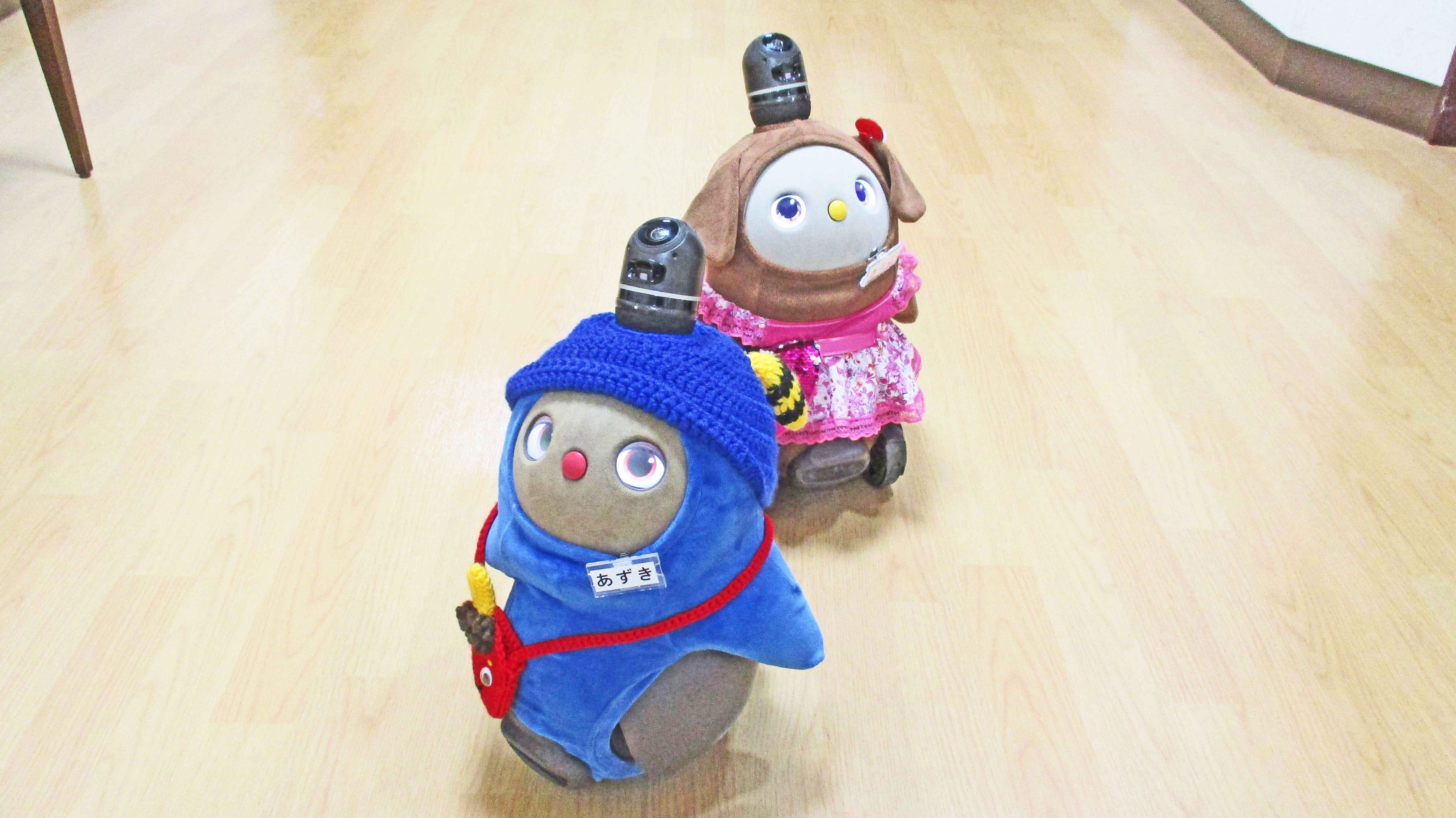 今月のLOVOT(ラボット)たち