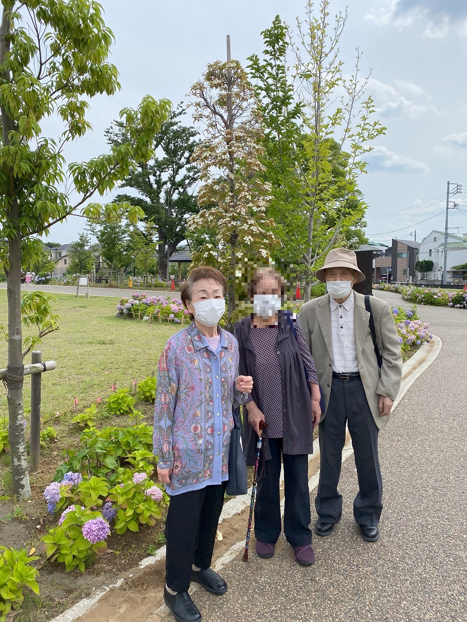 「練馬城址公園紫陽花鑑賞とカフェ」
