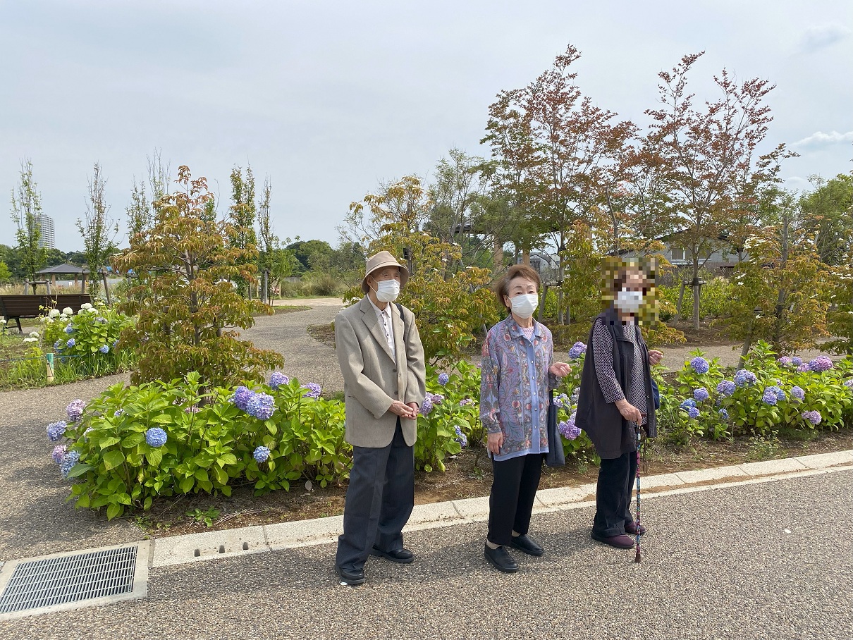 「練馬城址公園紫陽花鑑賞とカフェ」