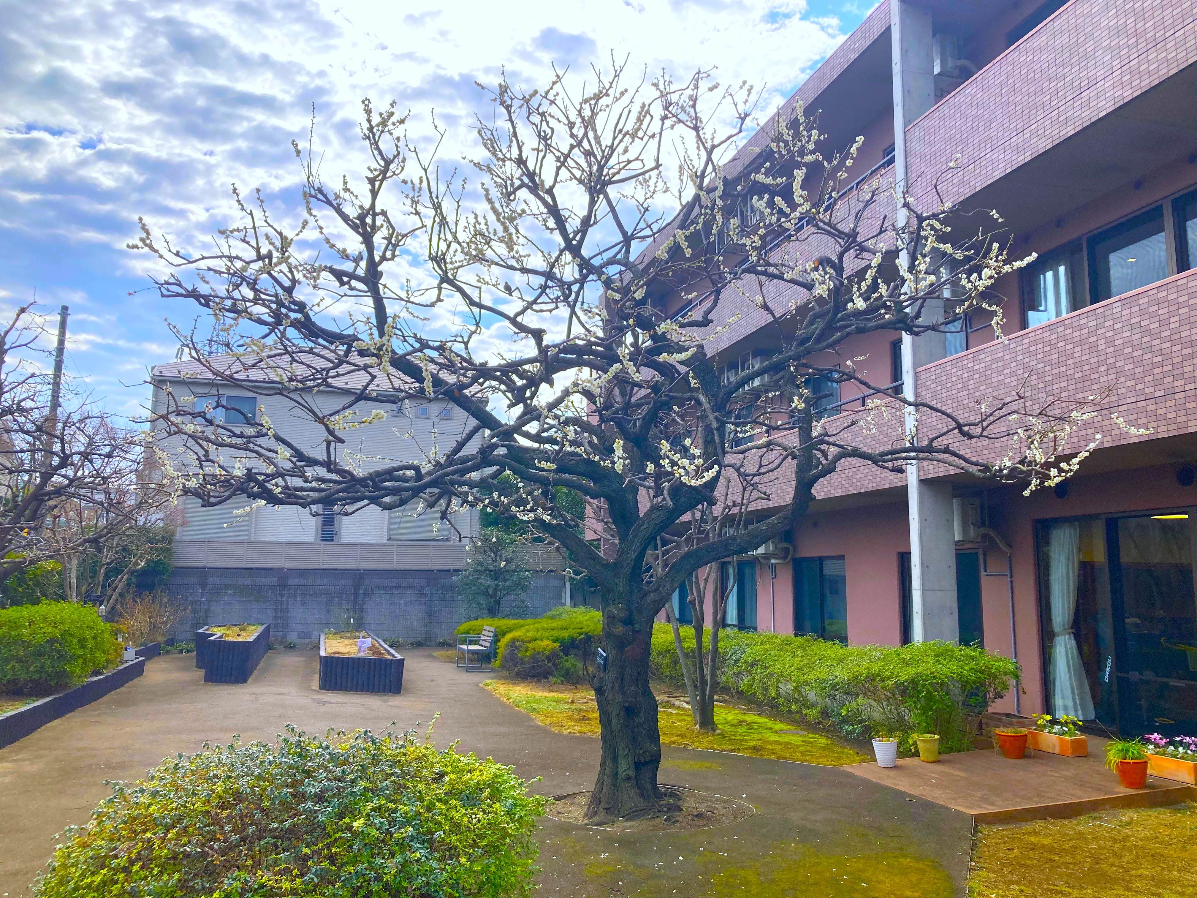 春の兆し