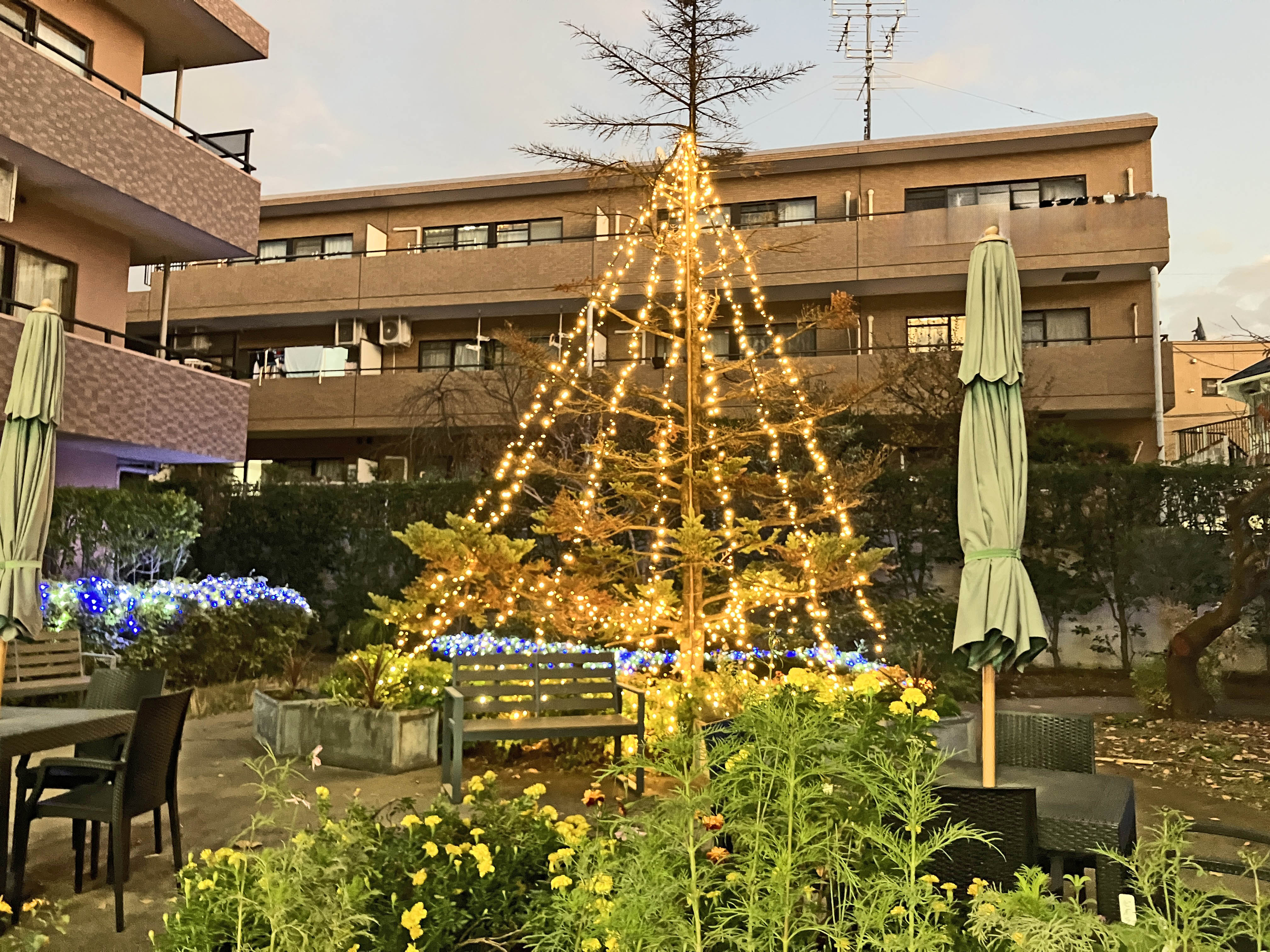 クリスマスイルミネーションの点灯