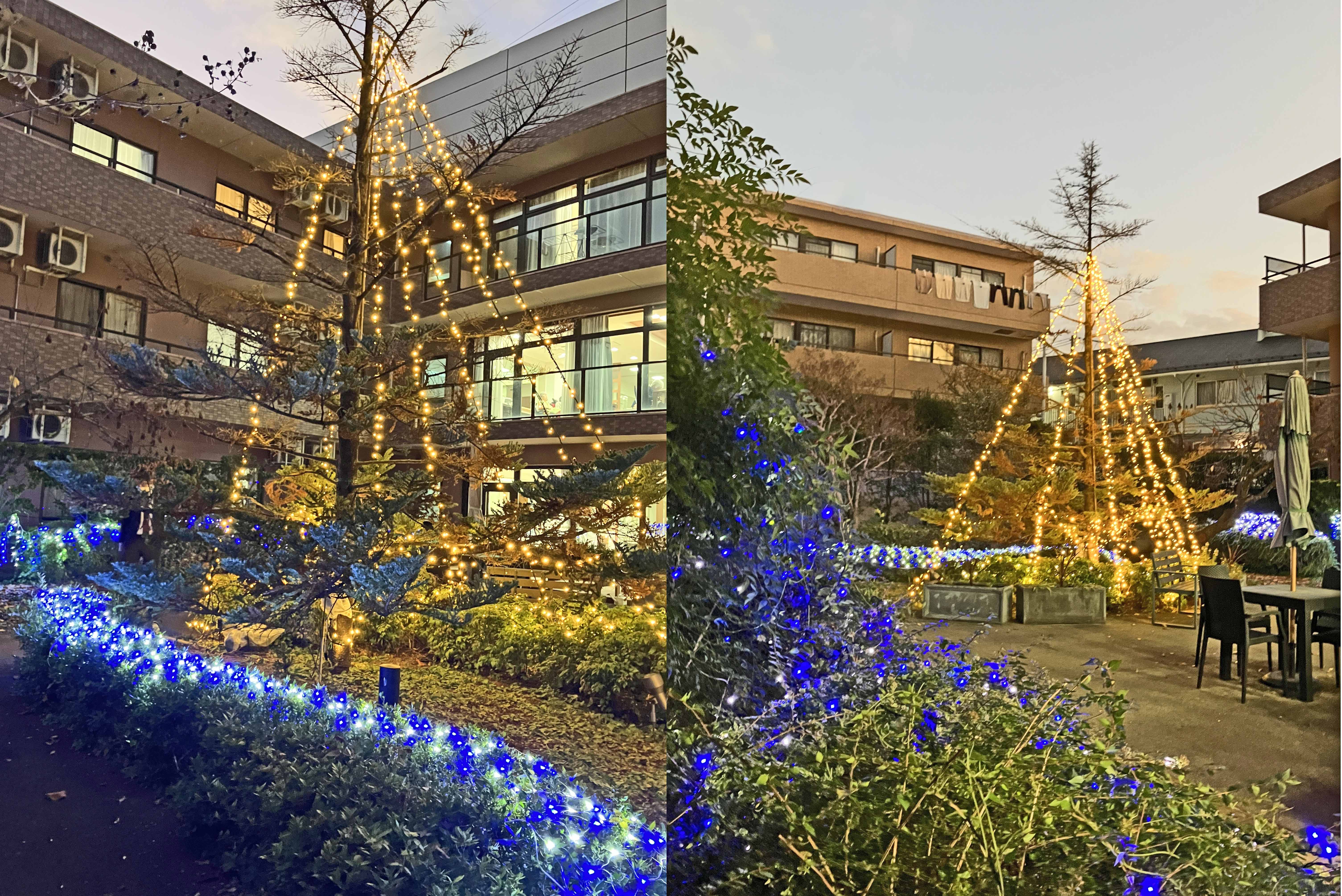 クリスマスイルミネーションの点灯