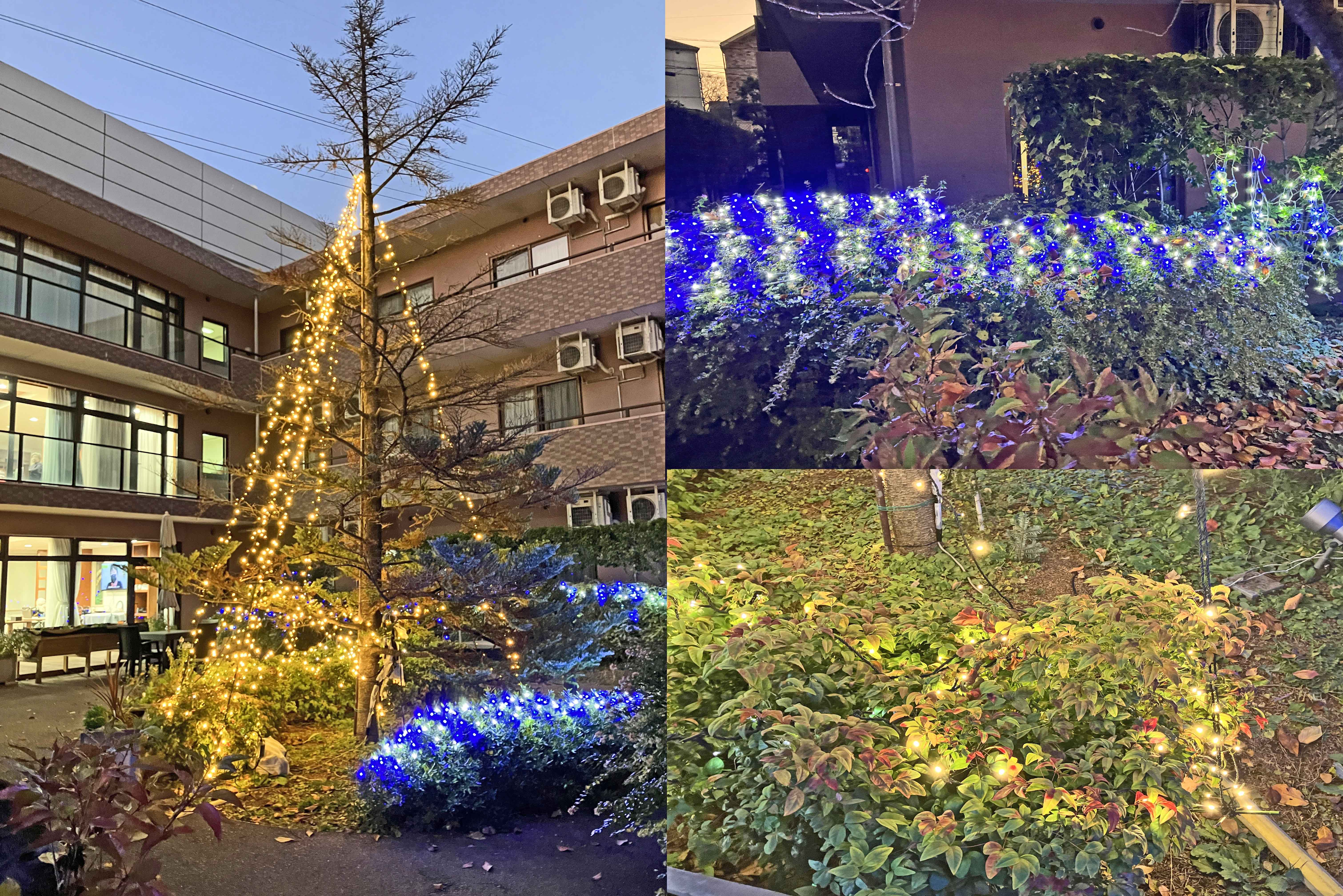 クリスマスイルミネーションの点灯