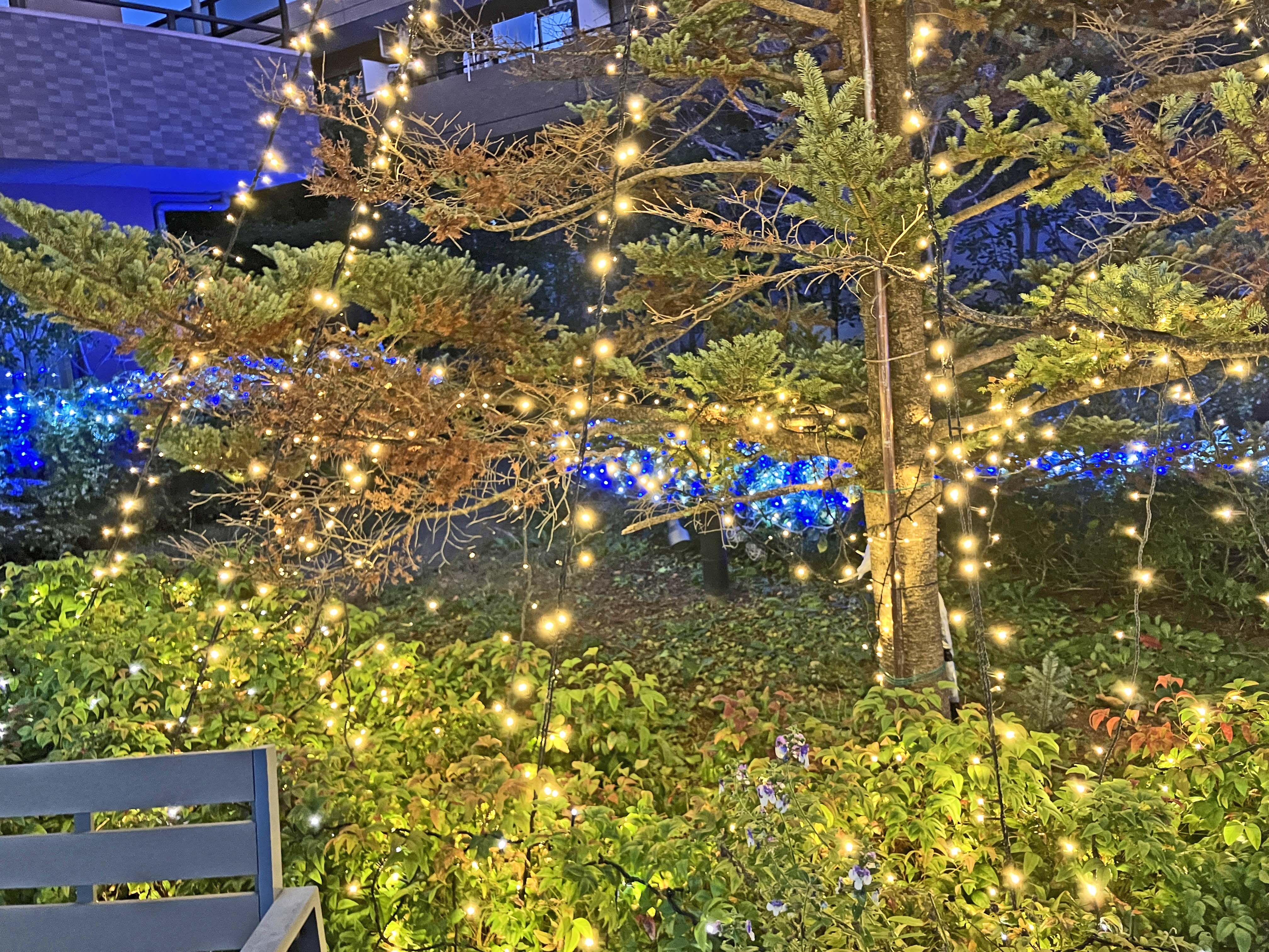 クリスマスイルミネーションの点灯