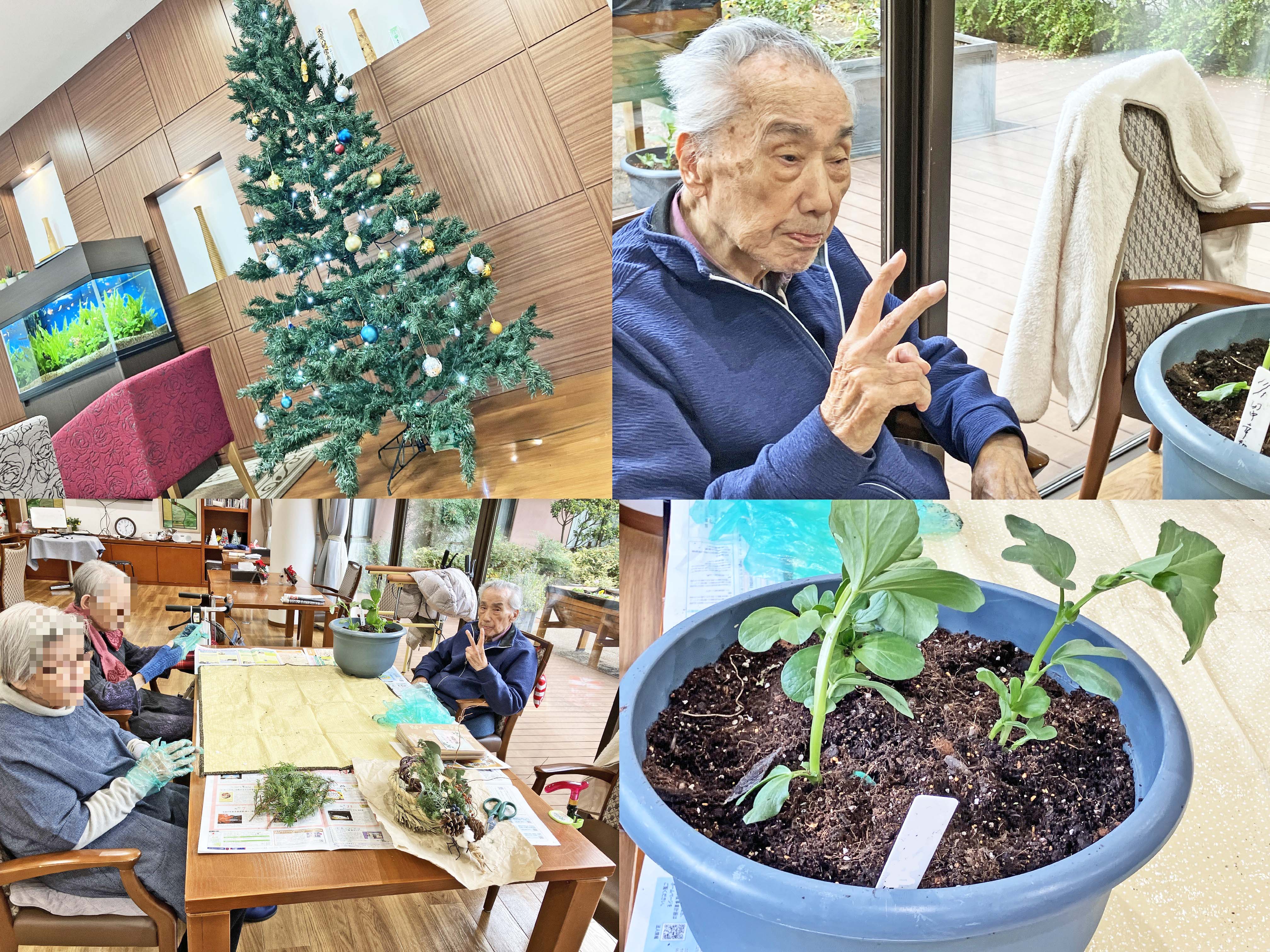 園芸療法～クリスマスに向けて～