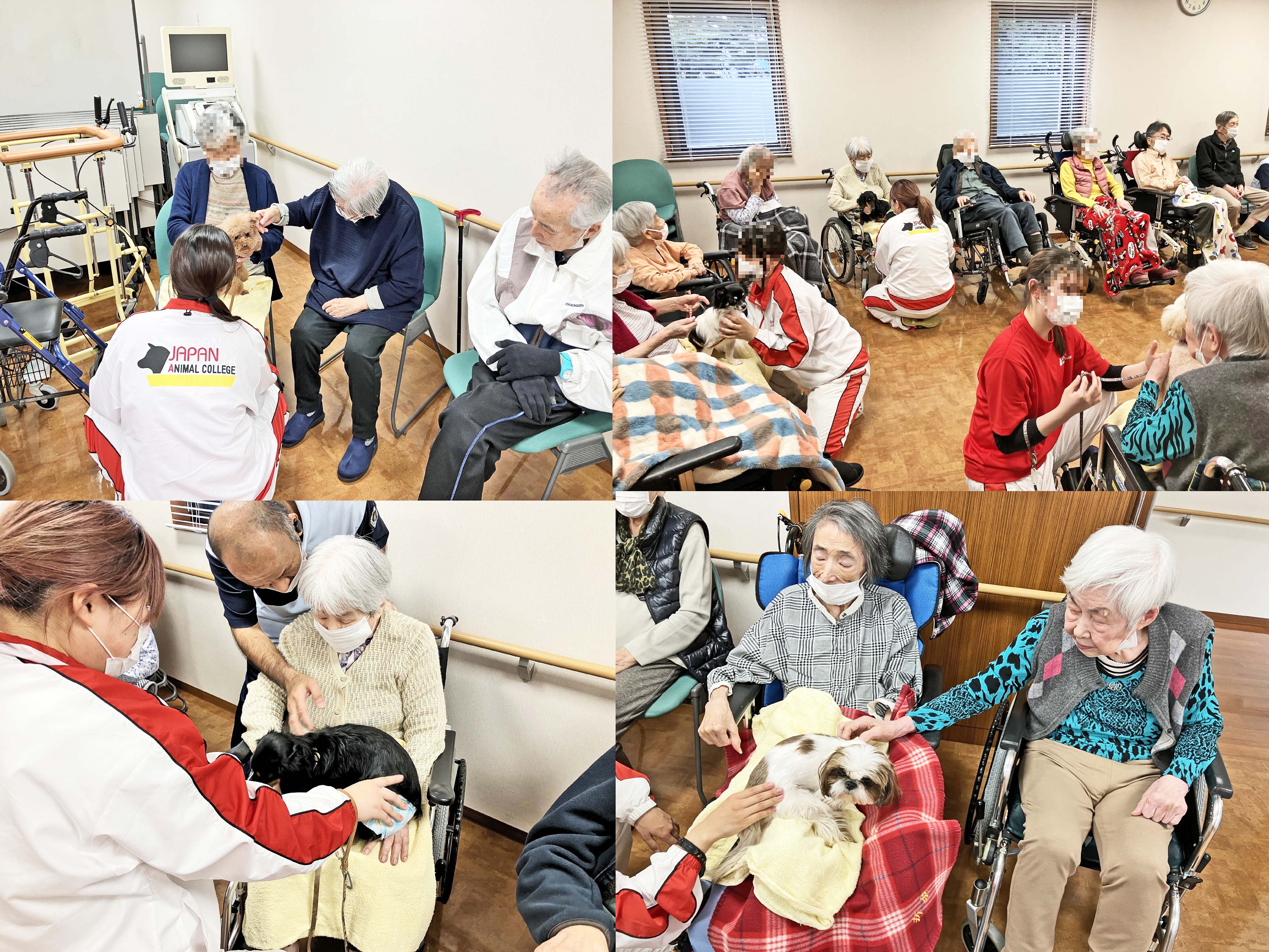 １２月のドッグセラピー