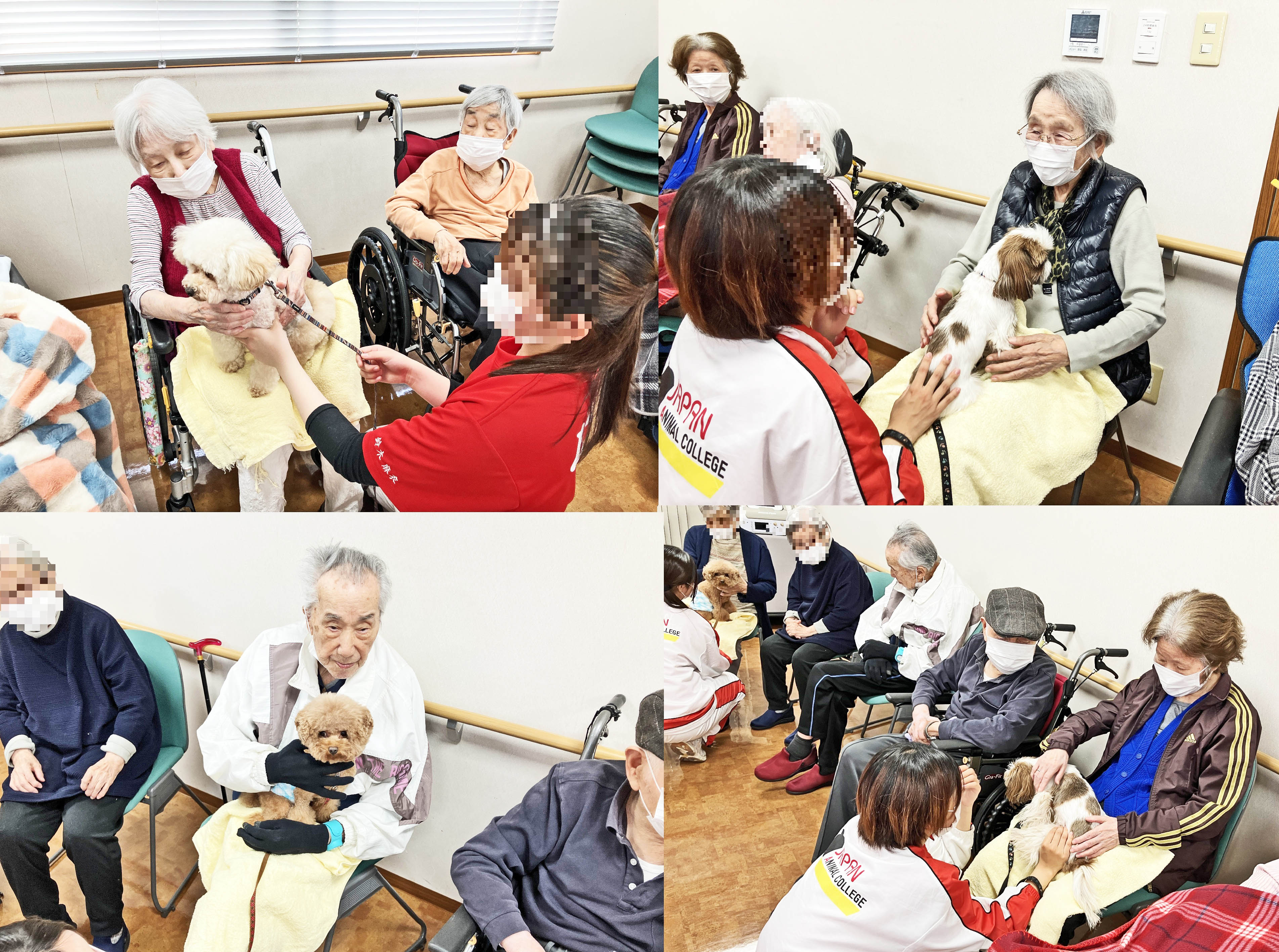 １２月のドッグセラピー