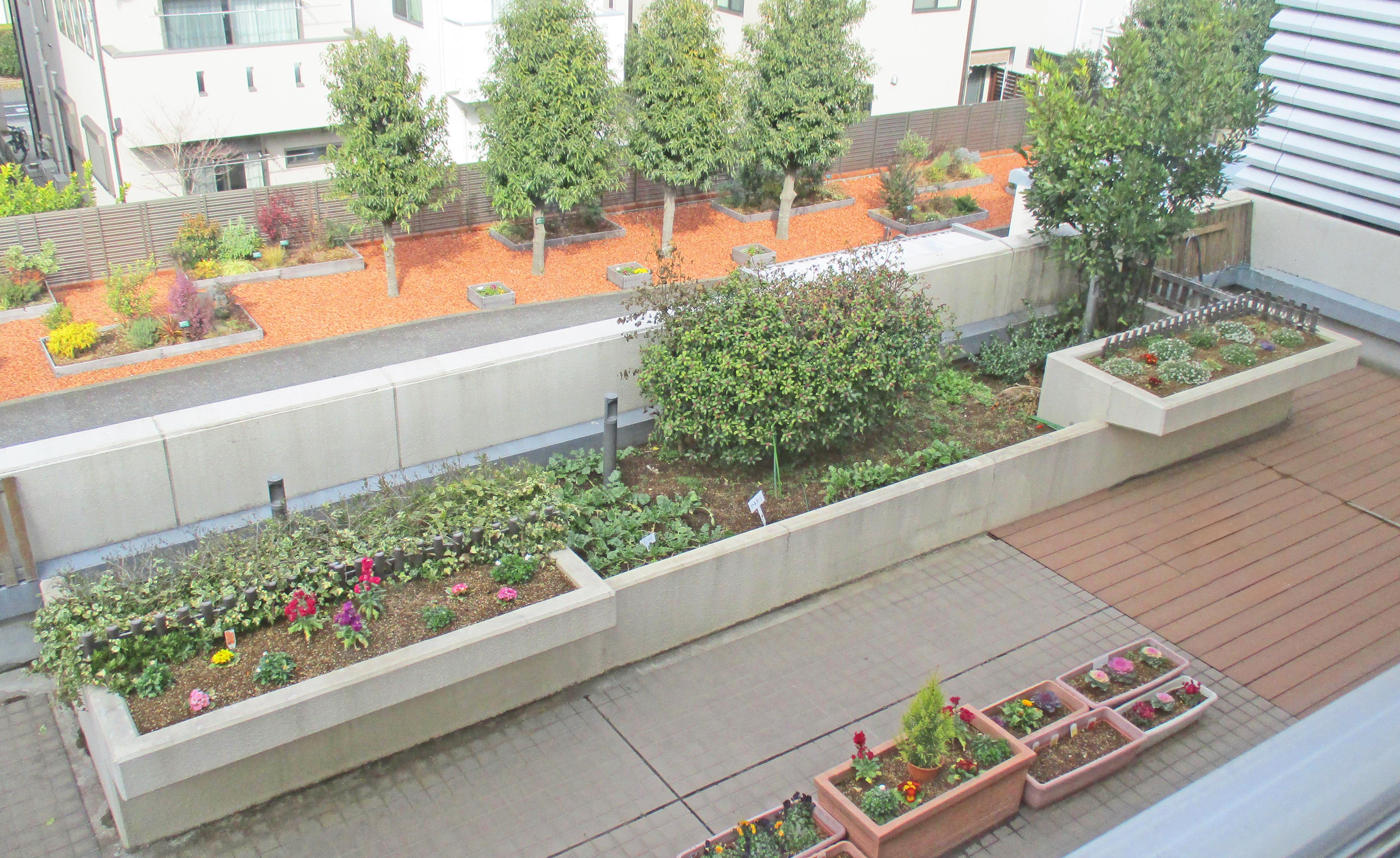 ２月下旬のガーデンテラス