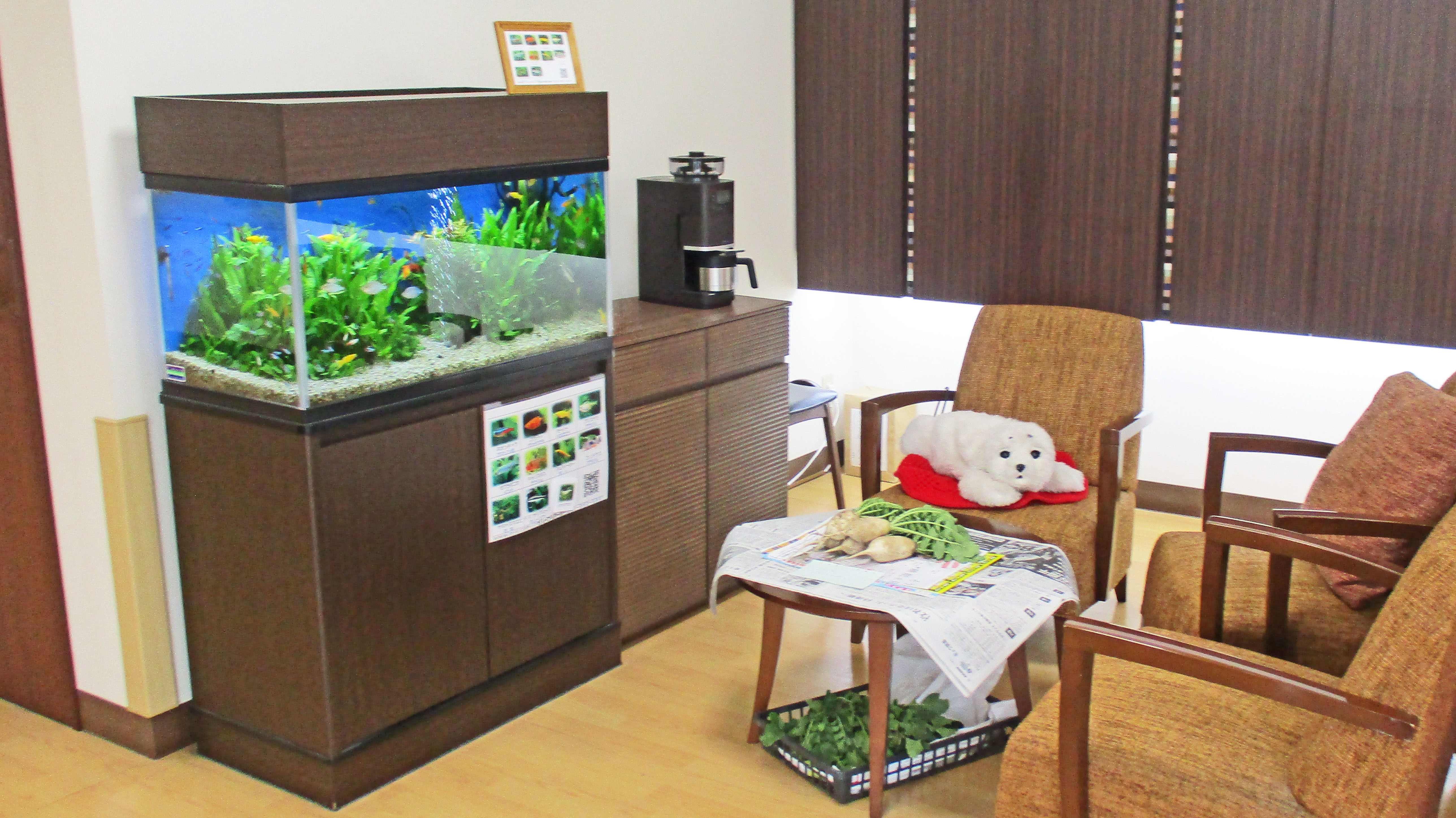 ガーデンテラスの大根