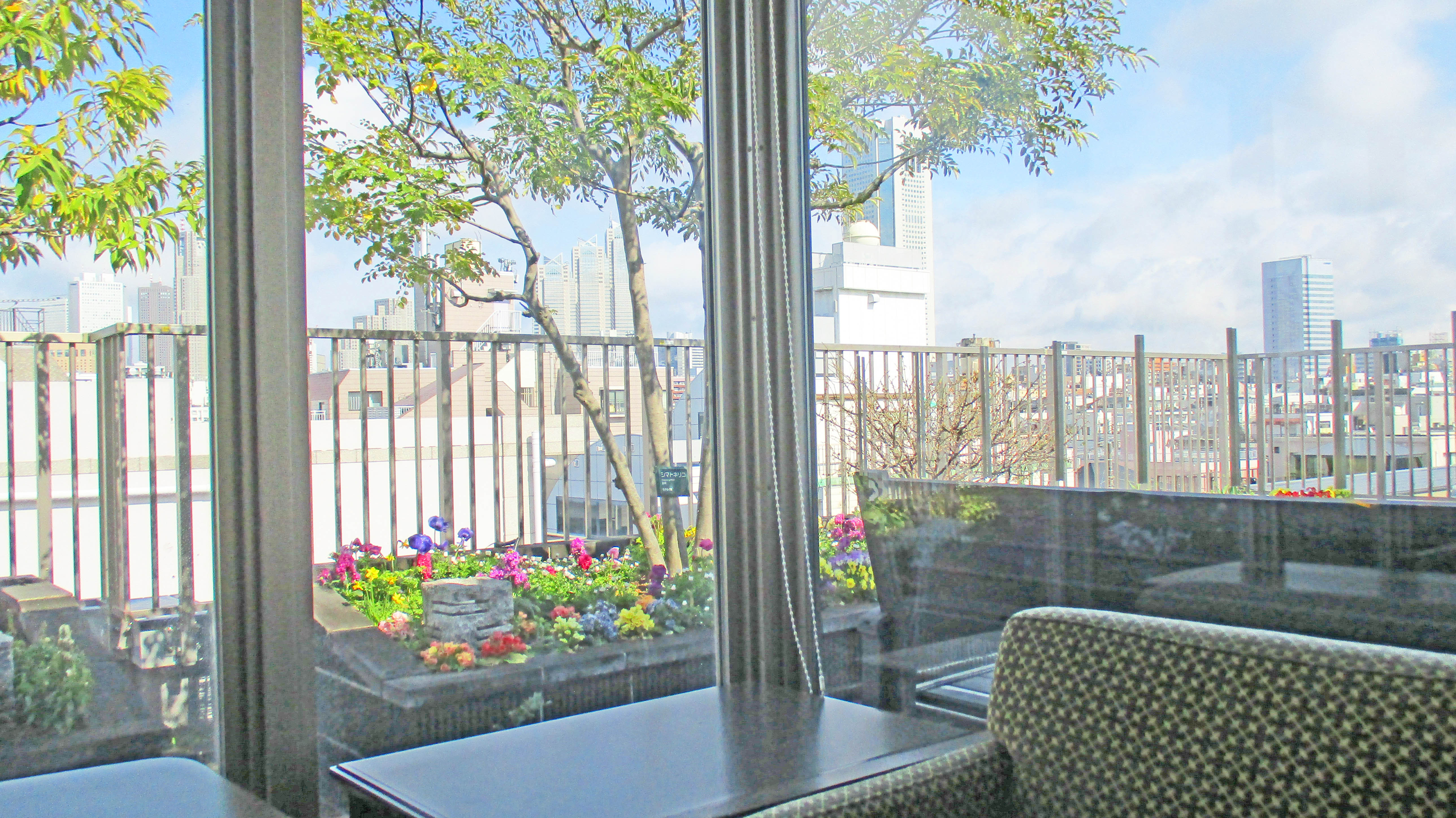 屋上庭園の花