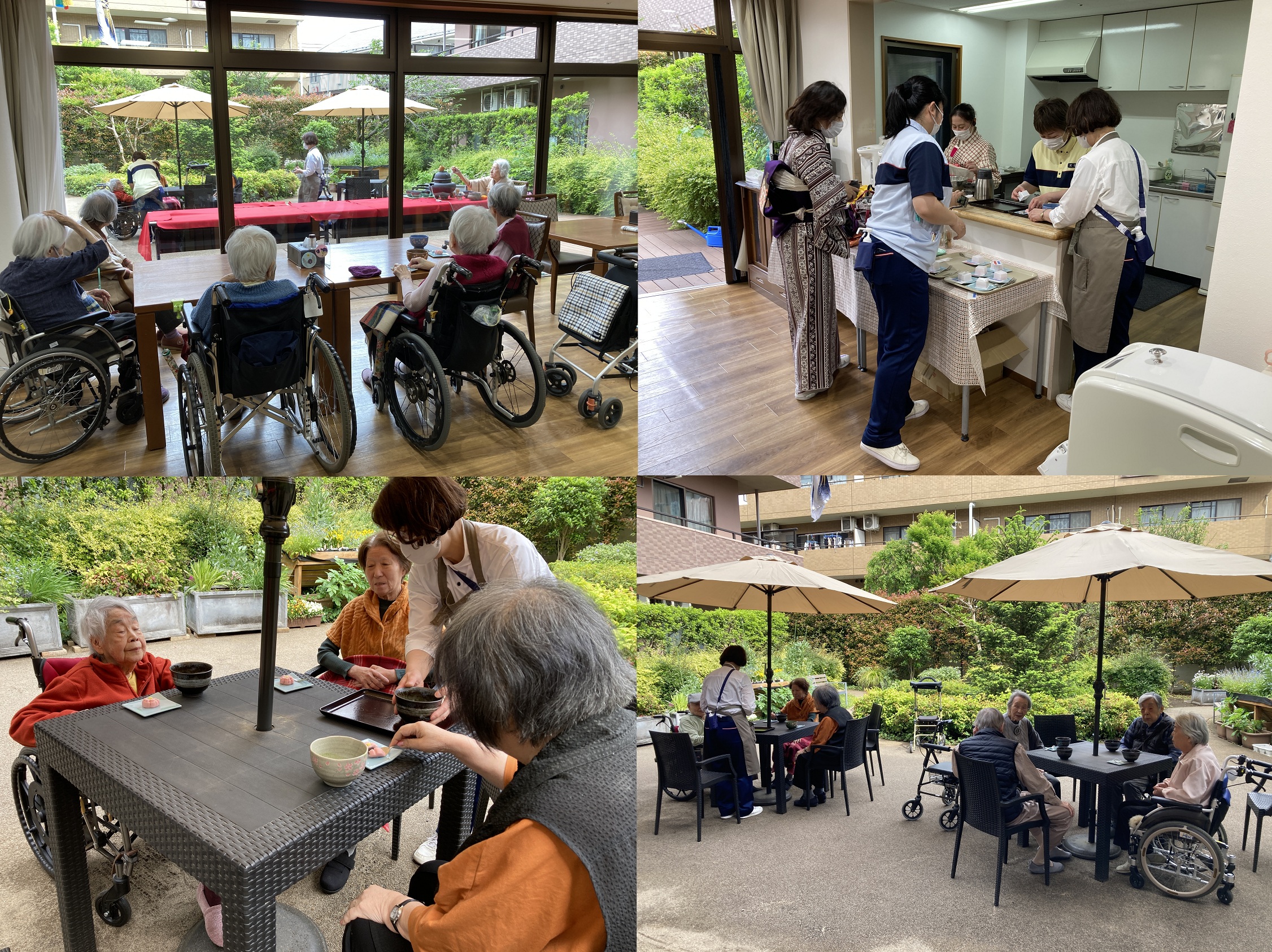 新緑のお茶会