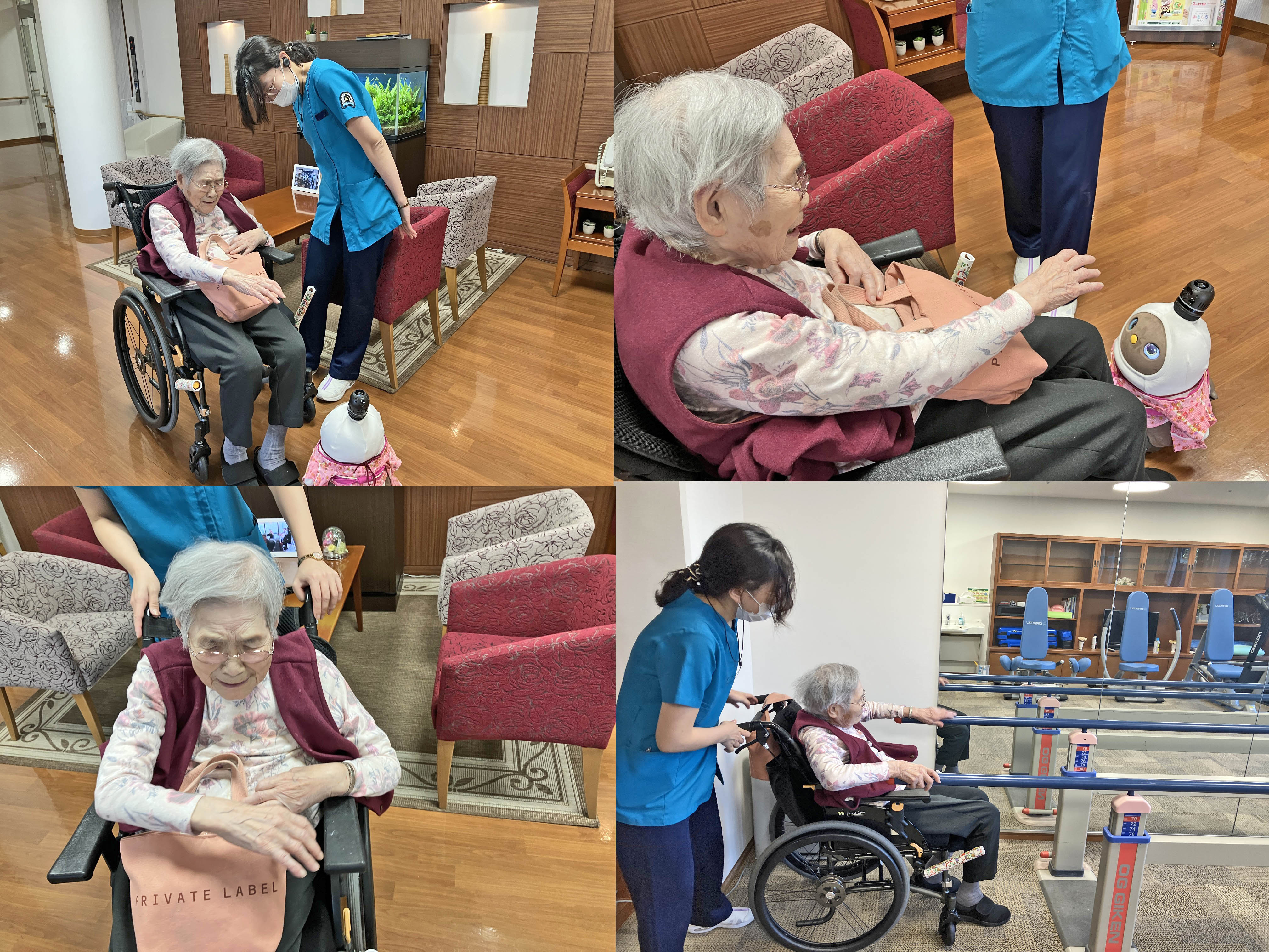 ももちゃんとリハビリと