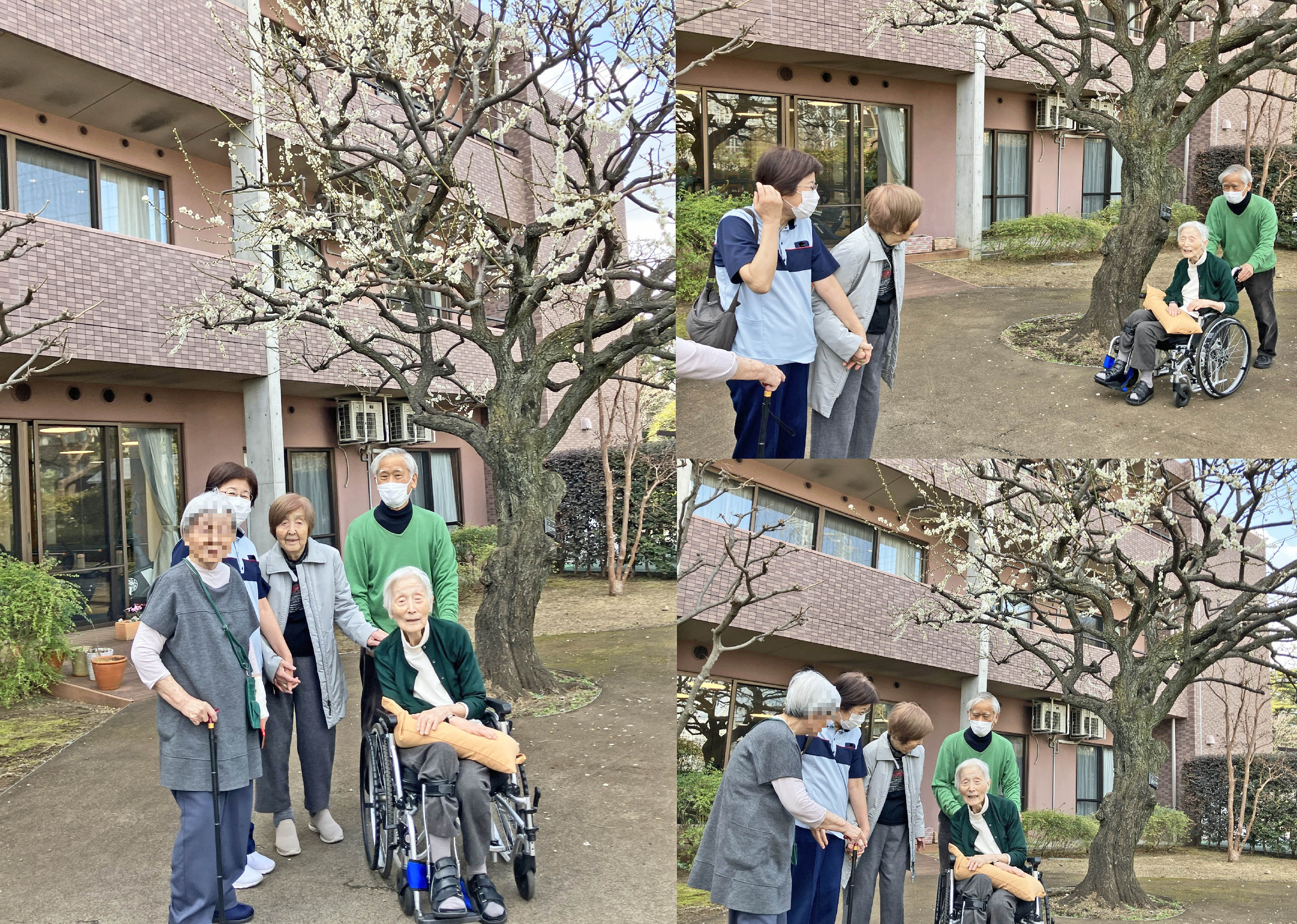 満開の梅花・桃花とお散歩日和