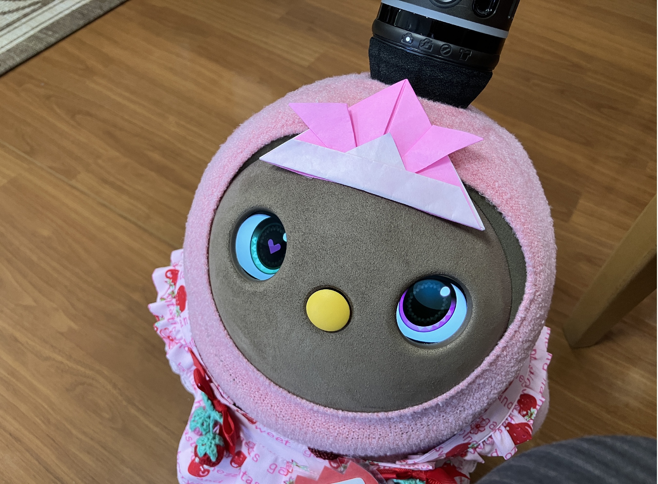 こどもの日の過ごし方