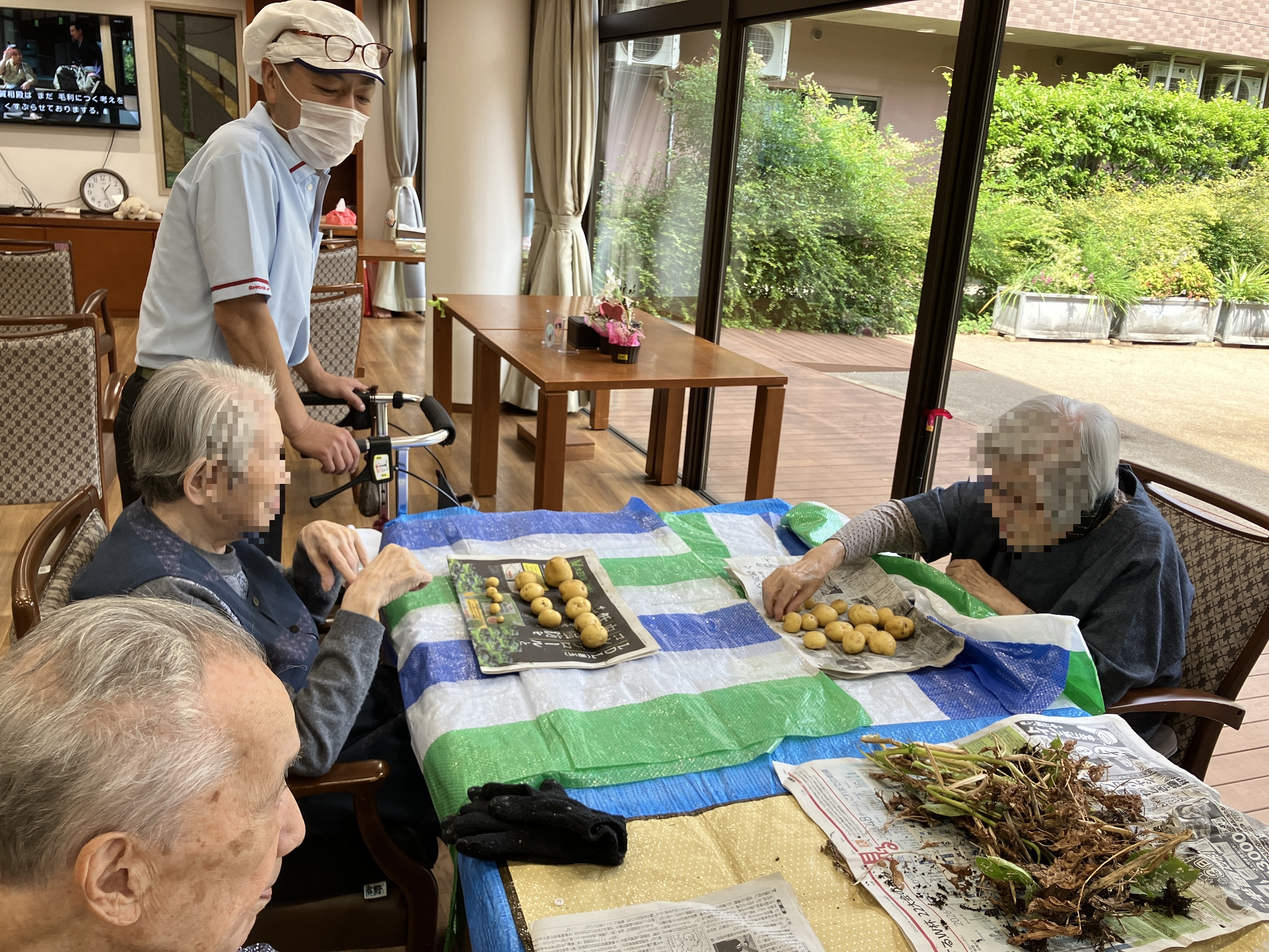 待ちに待ったじゃがいも実食会