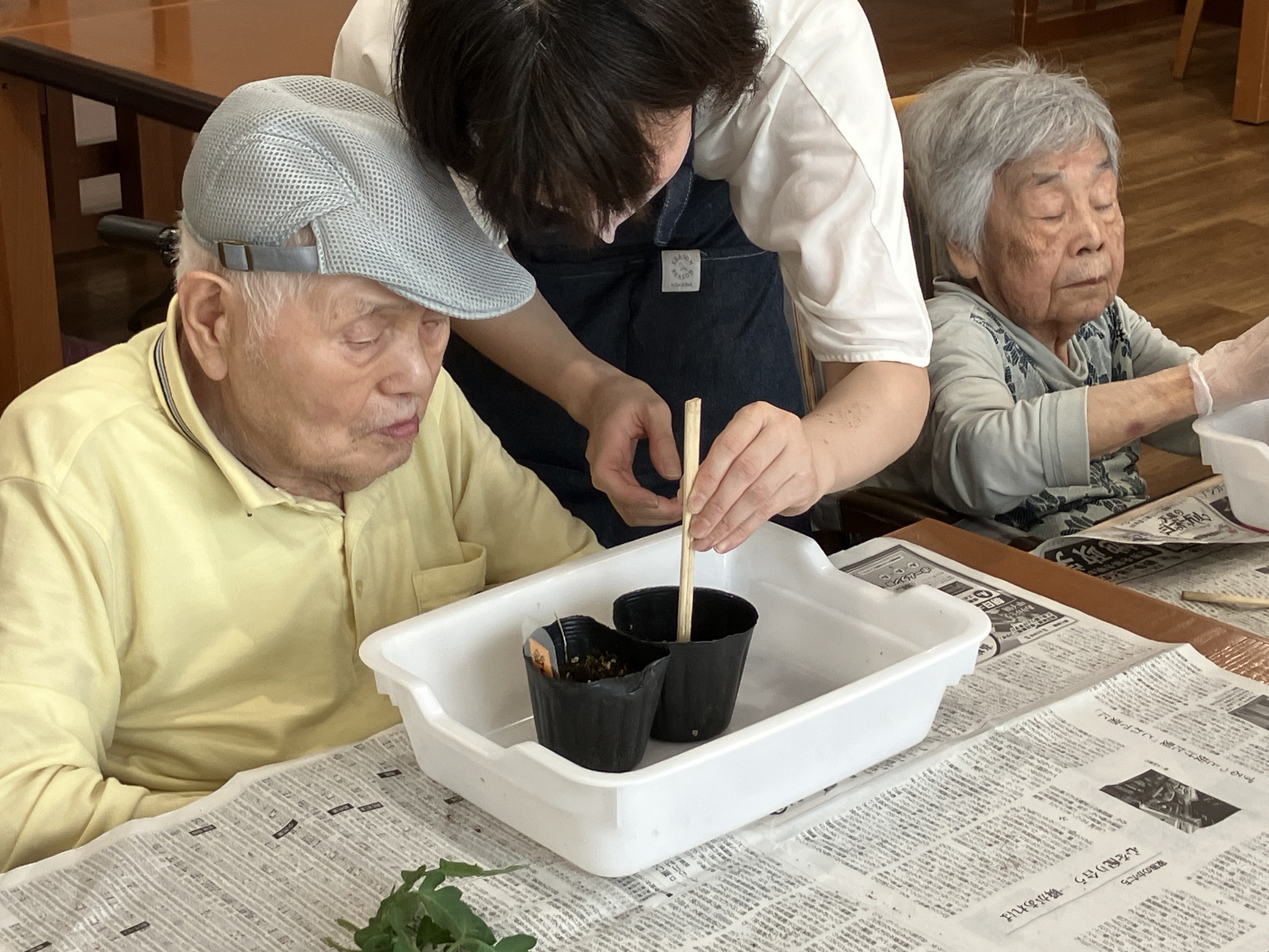 園芸療法～ミニトマトとマリーゴールド～