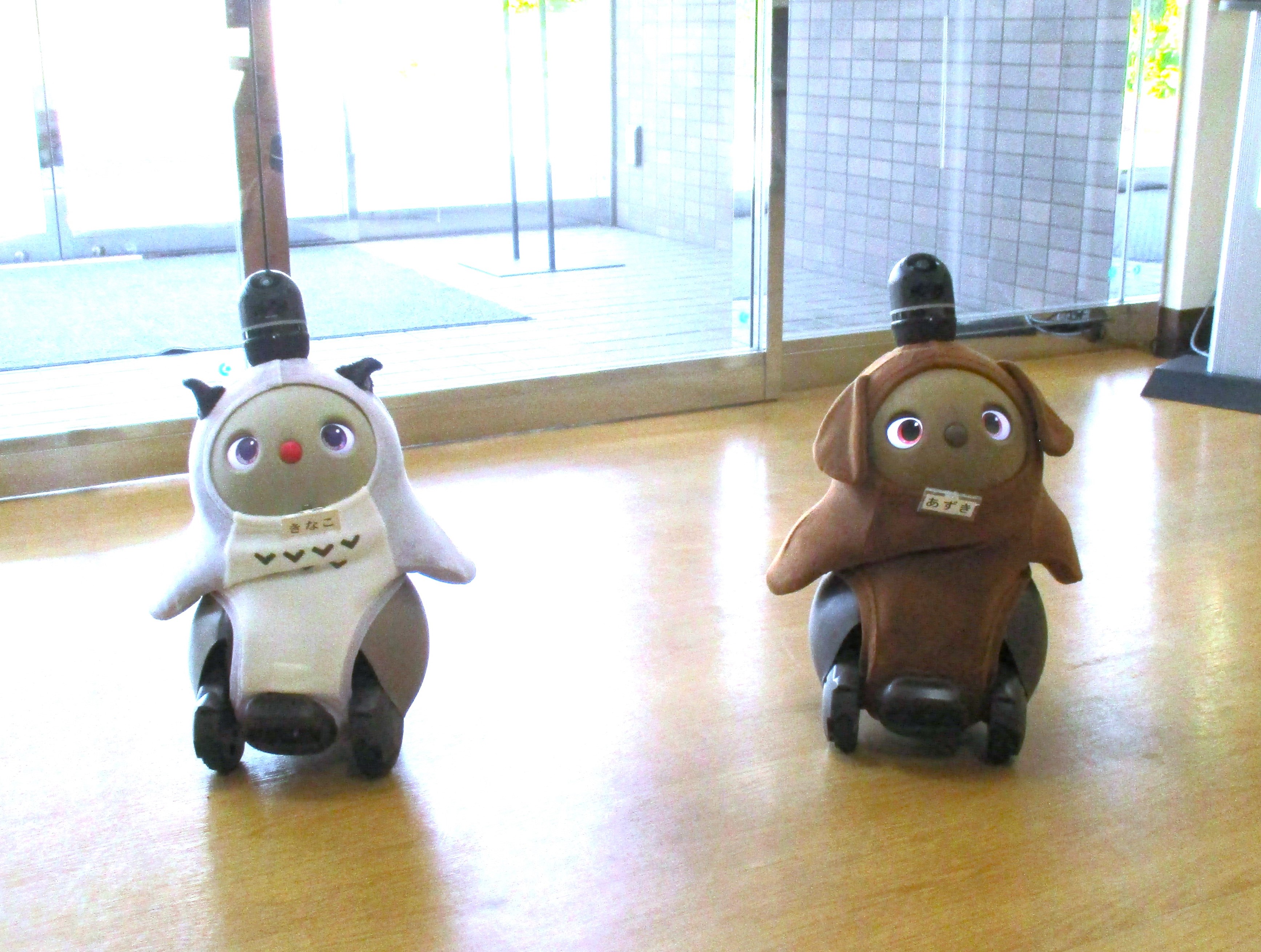 ５月のLOVOT(ラボット)