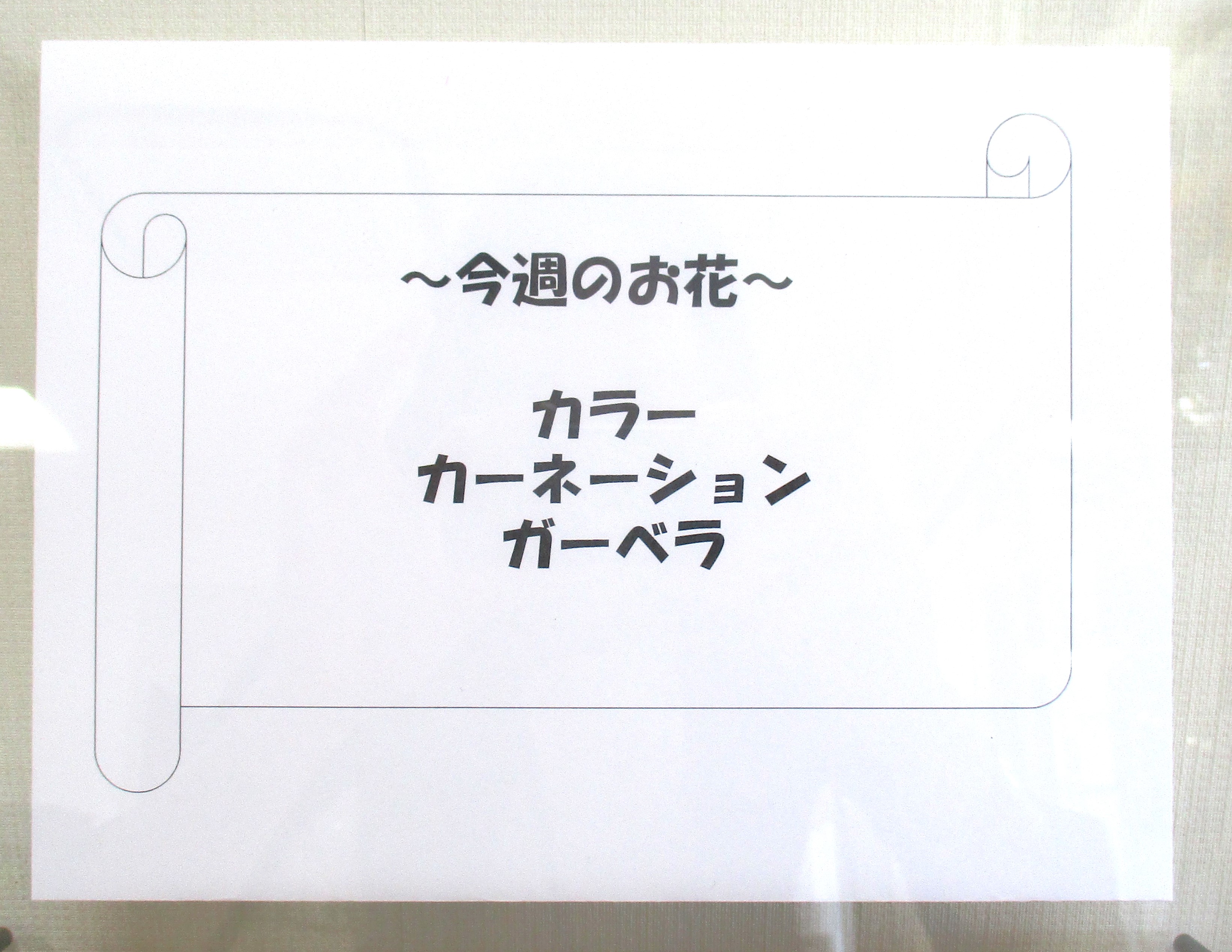 今週のお花