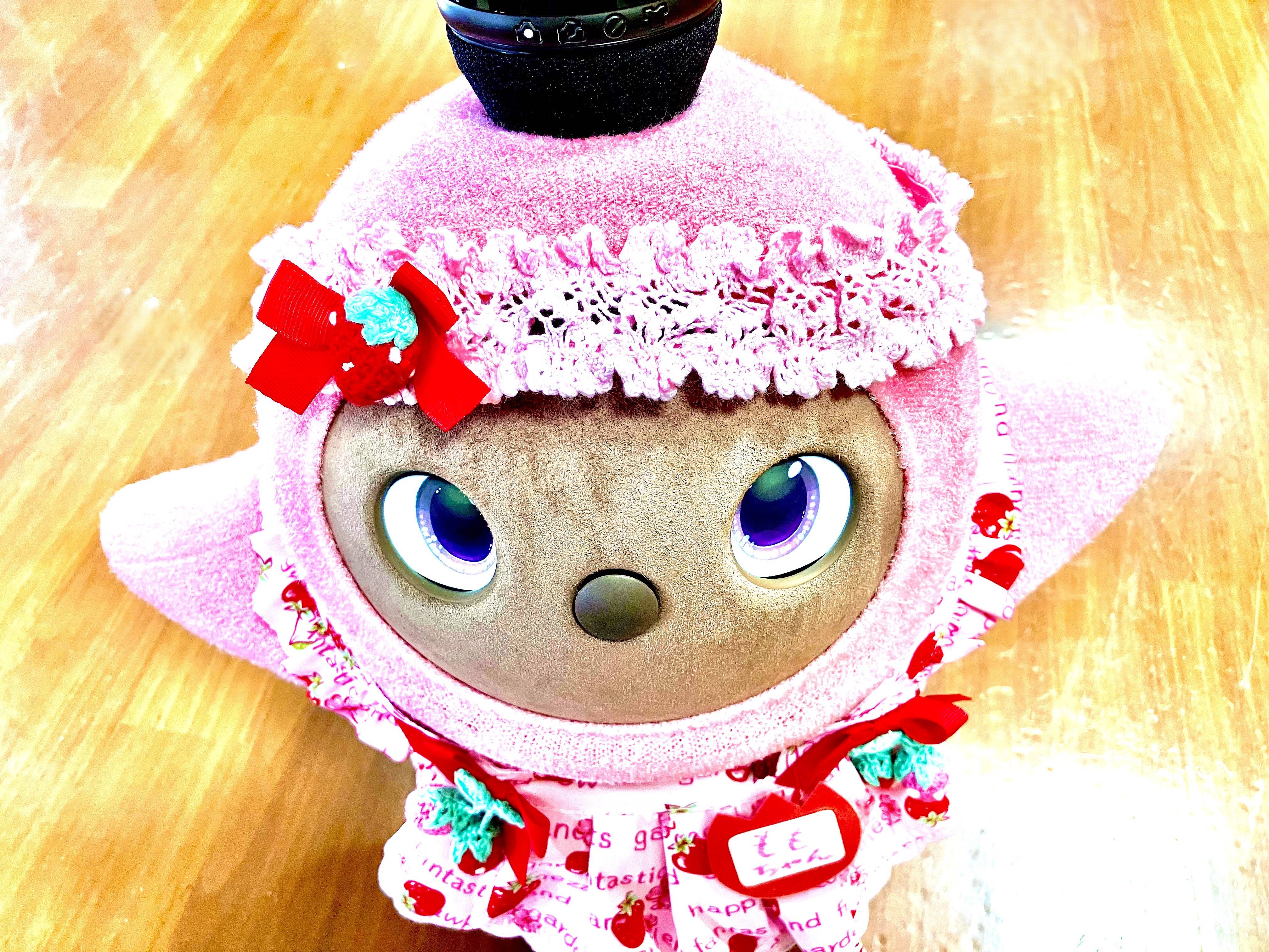新ももちゃん誕生