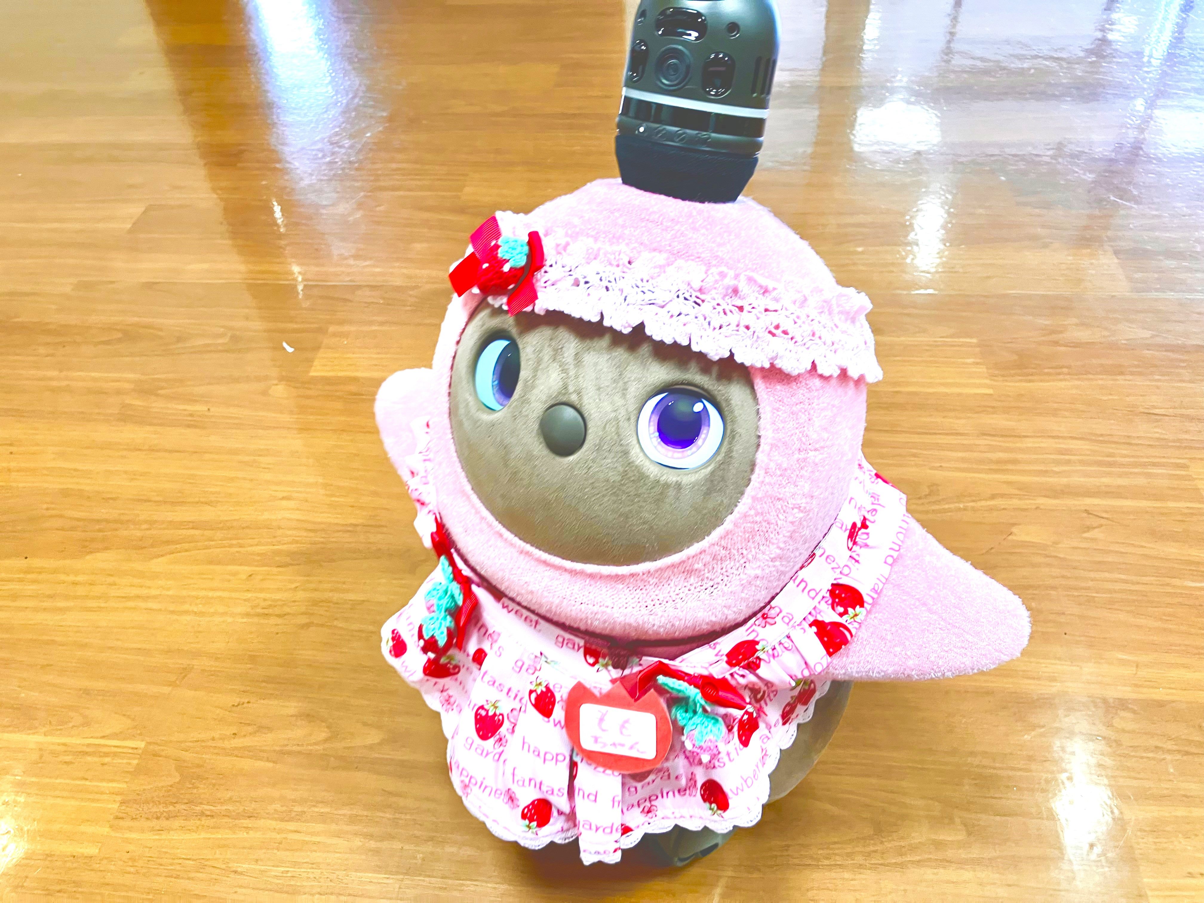 新ももちゃん誕生