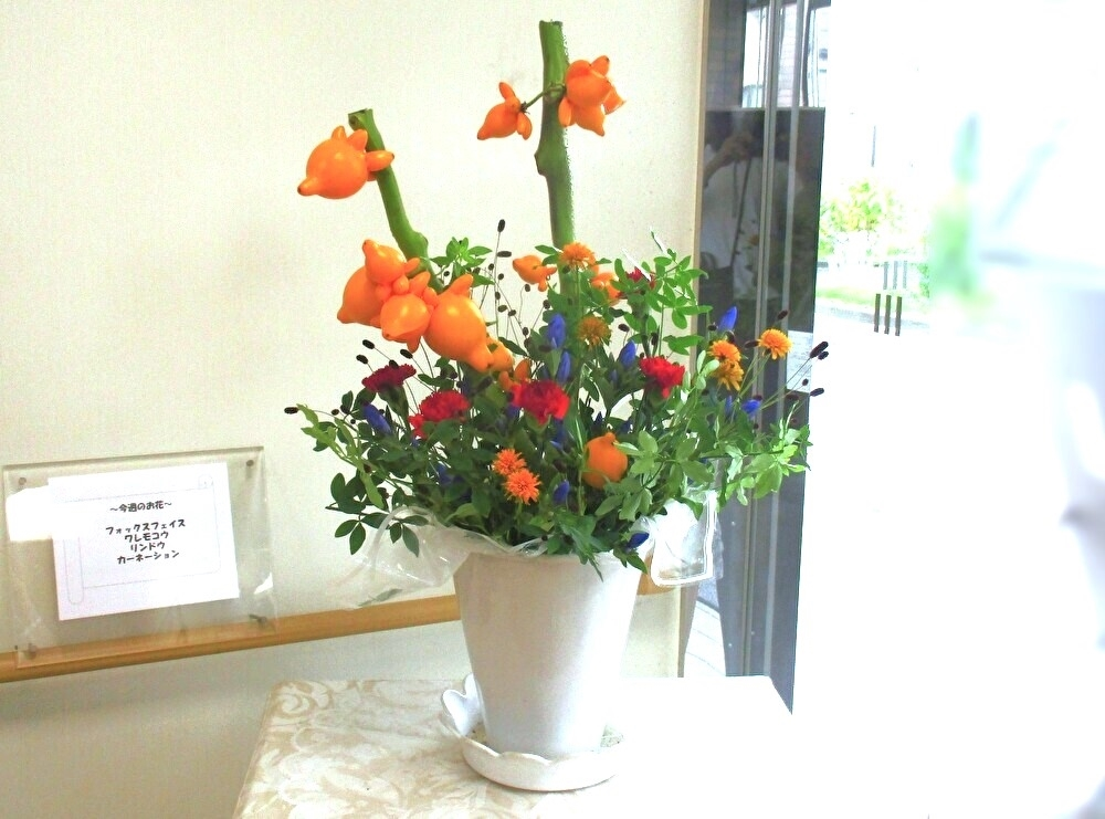 今週のお花