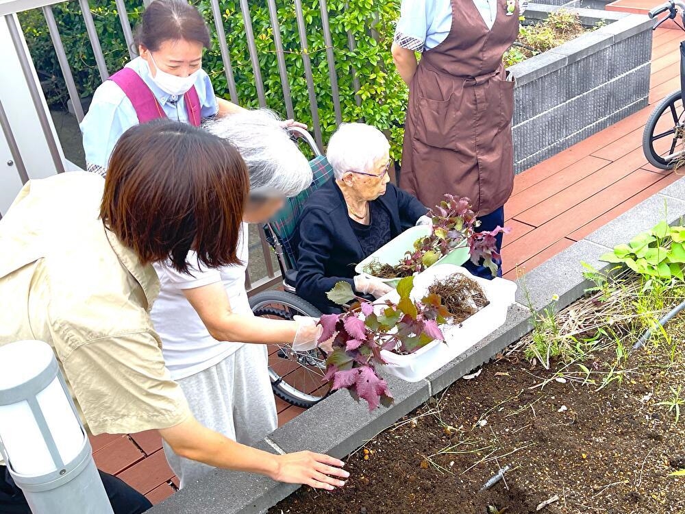 園芸サークル