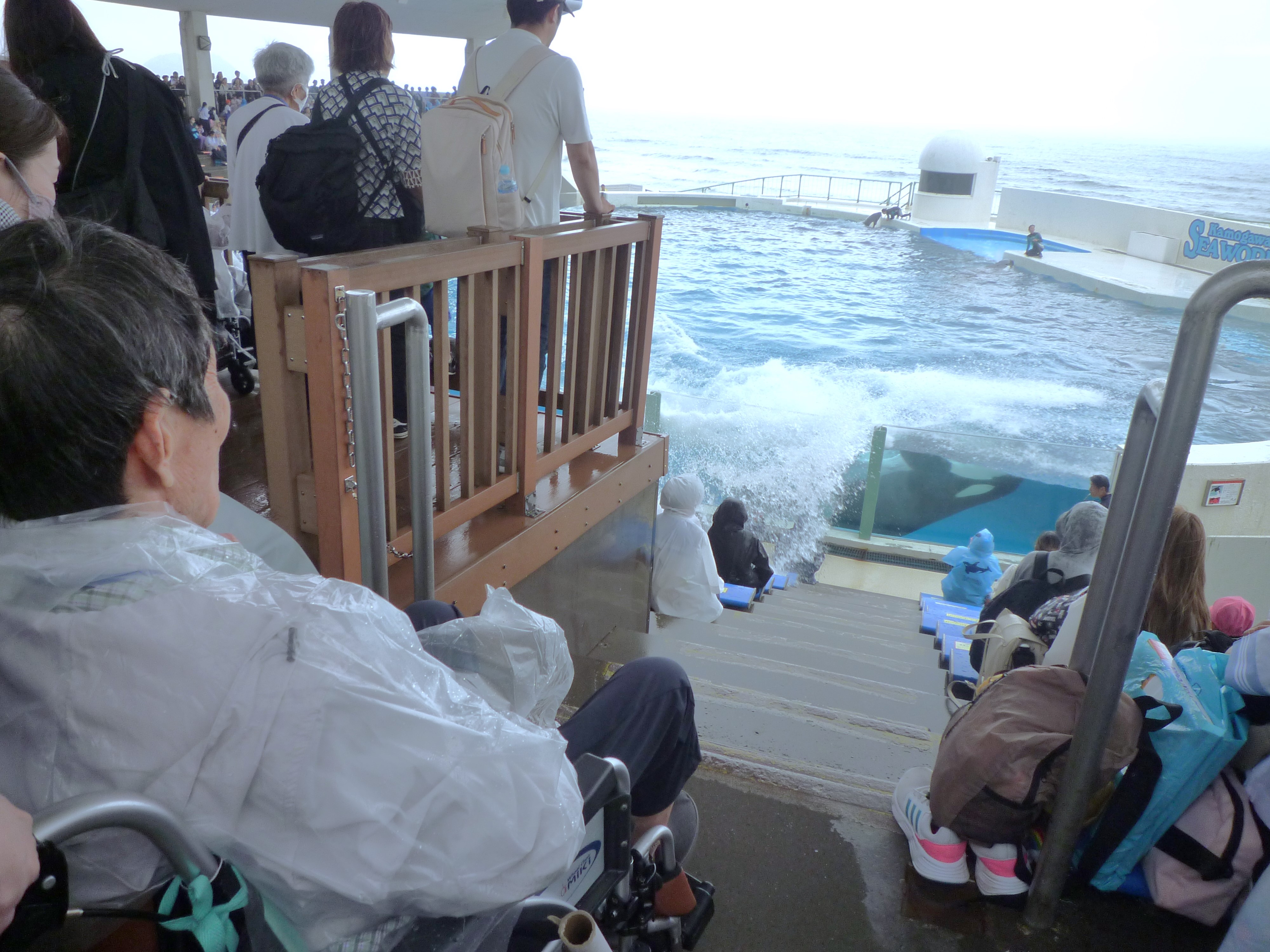 旅行プロジェクト