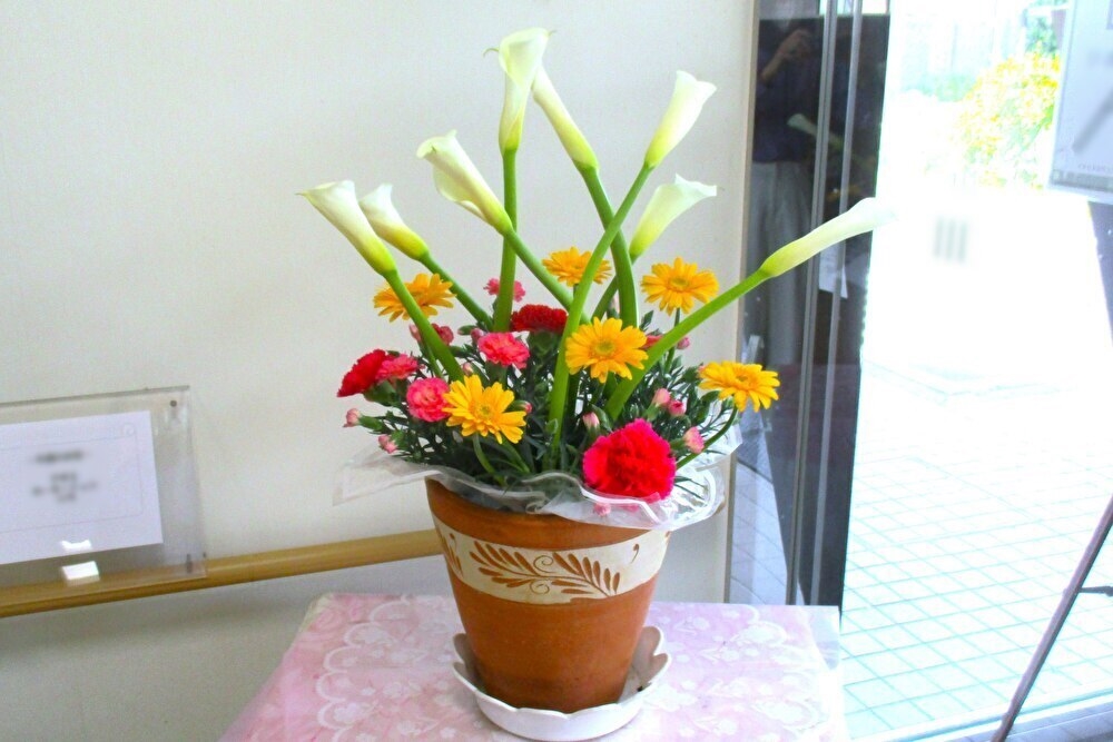 今週のお花