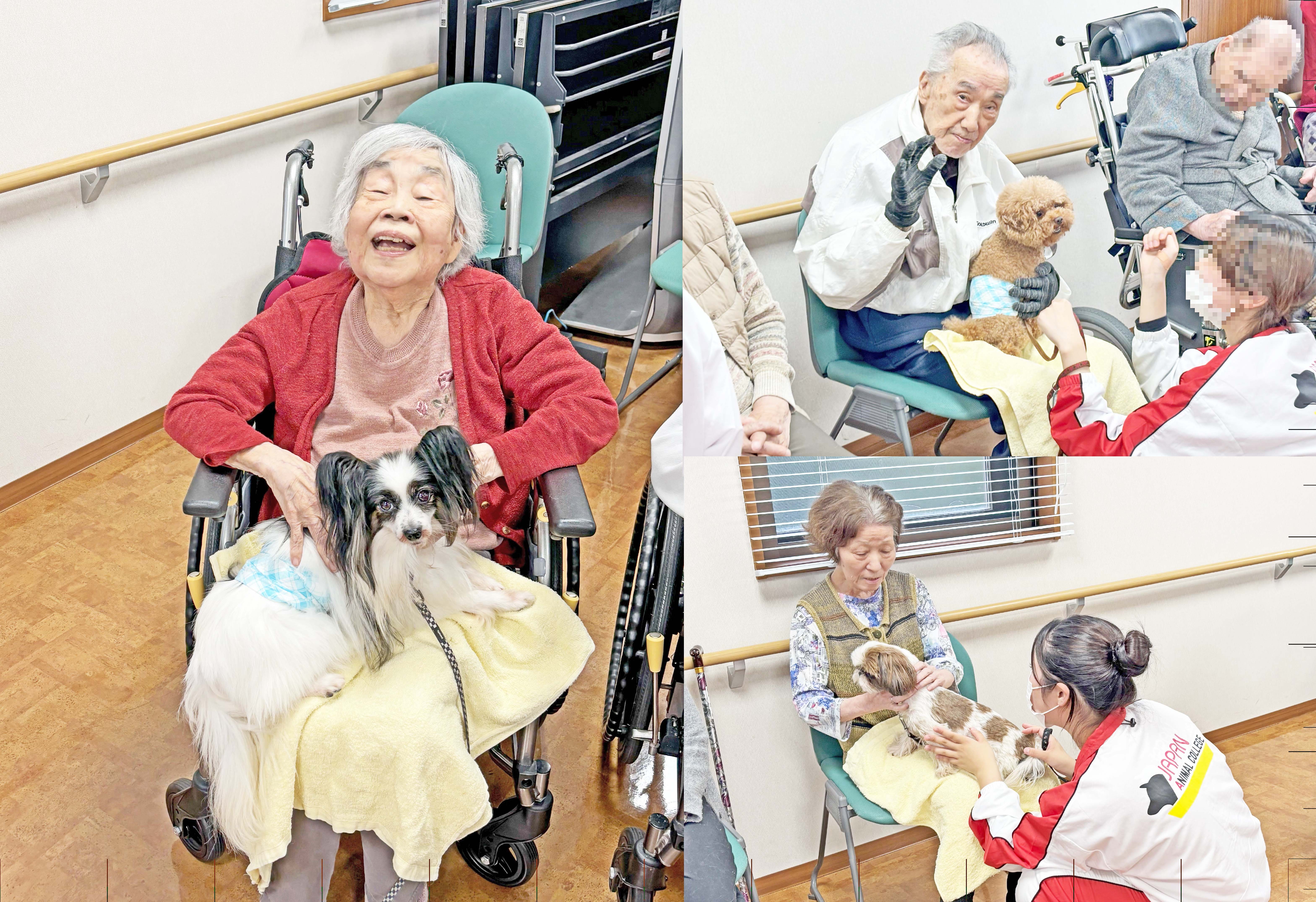 ドッグセラピー