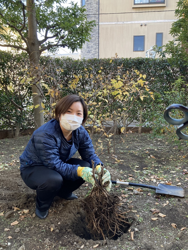 中庭・噴水庭園への苗植え