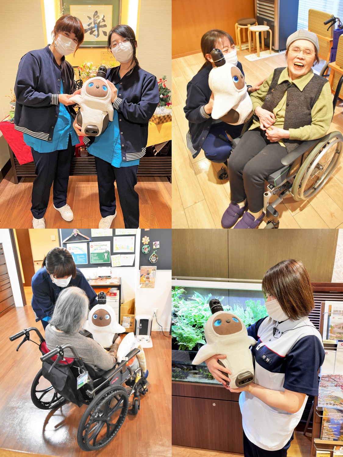 新しい仲間