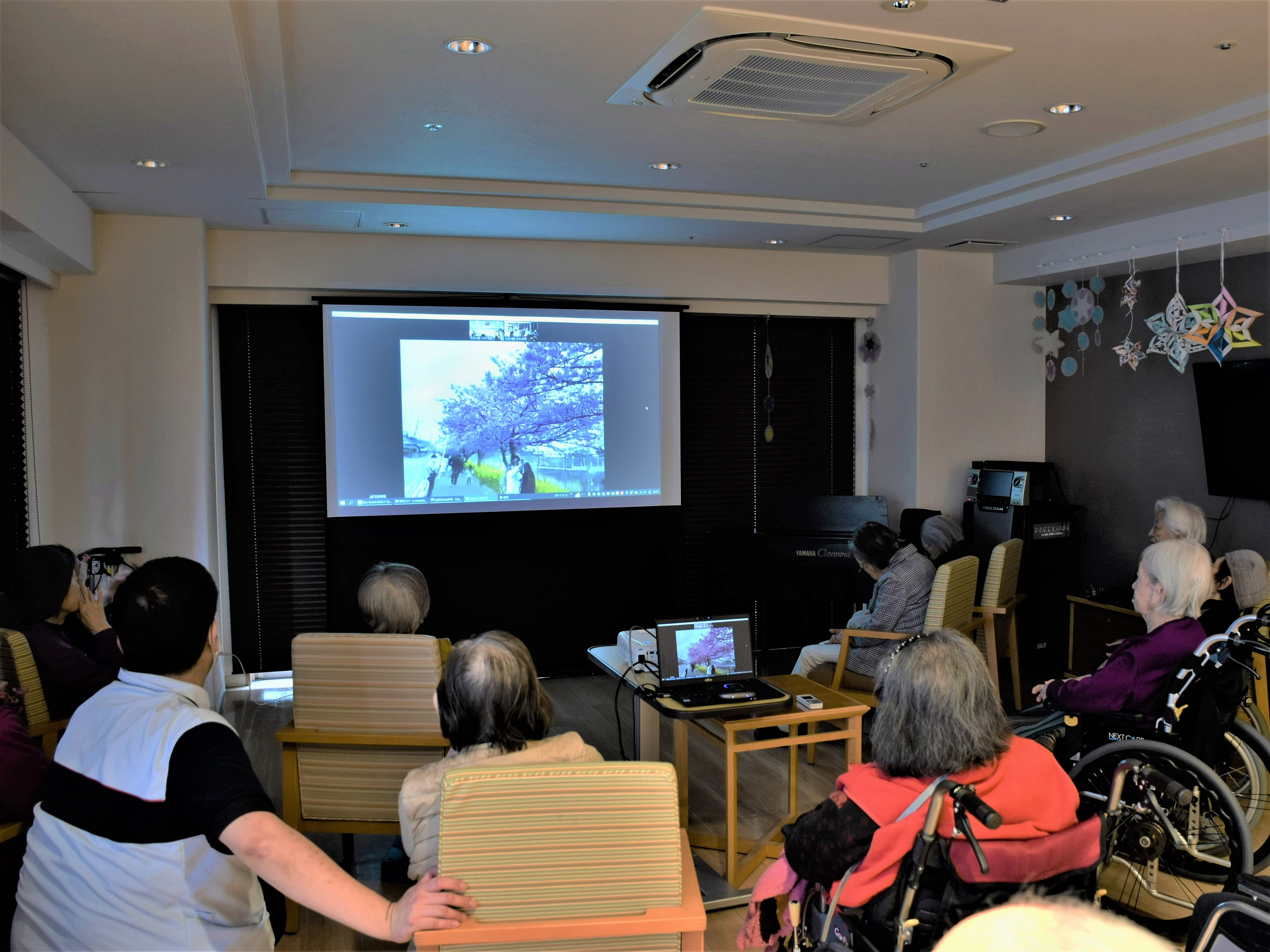 もみの樹・渋谷本町オンラインツアー　三浦海岸桜まつり