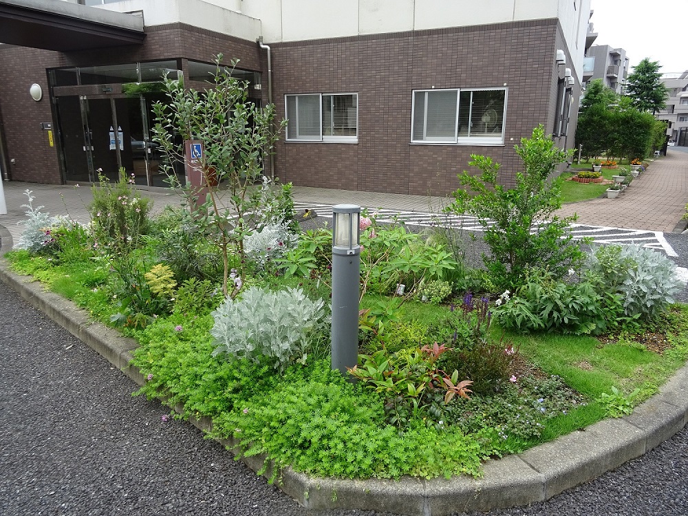 エントランス植栽