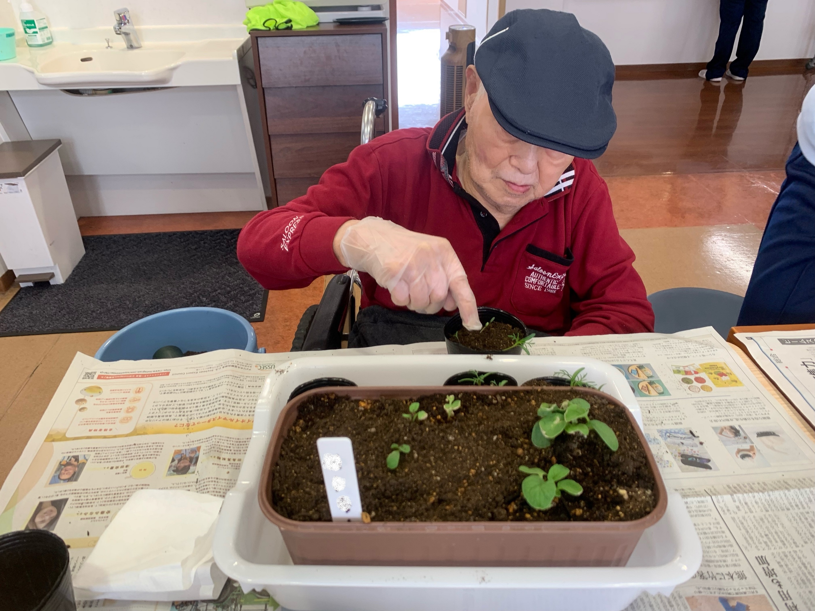 園芸療法③