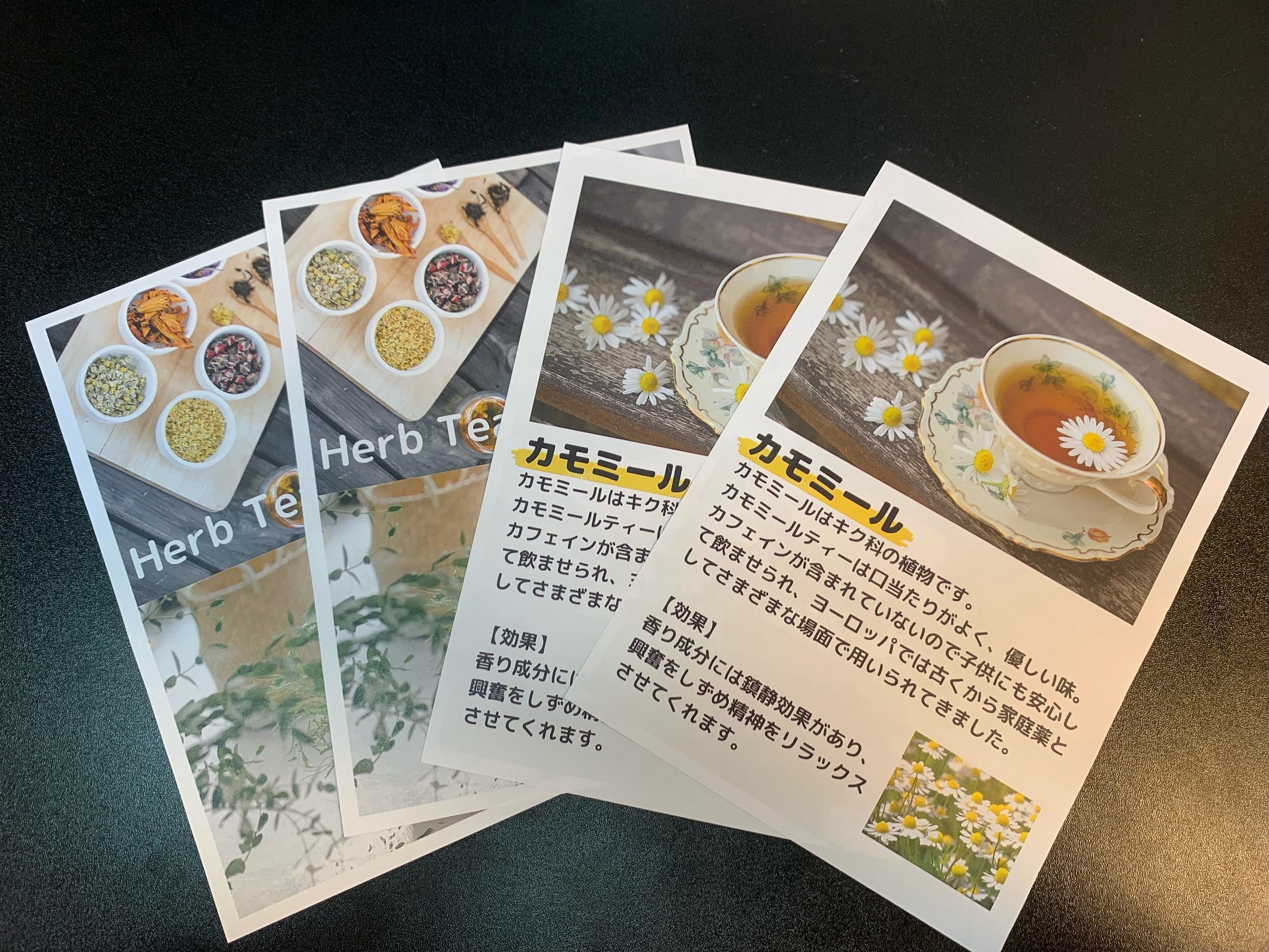 園芸療法③