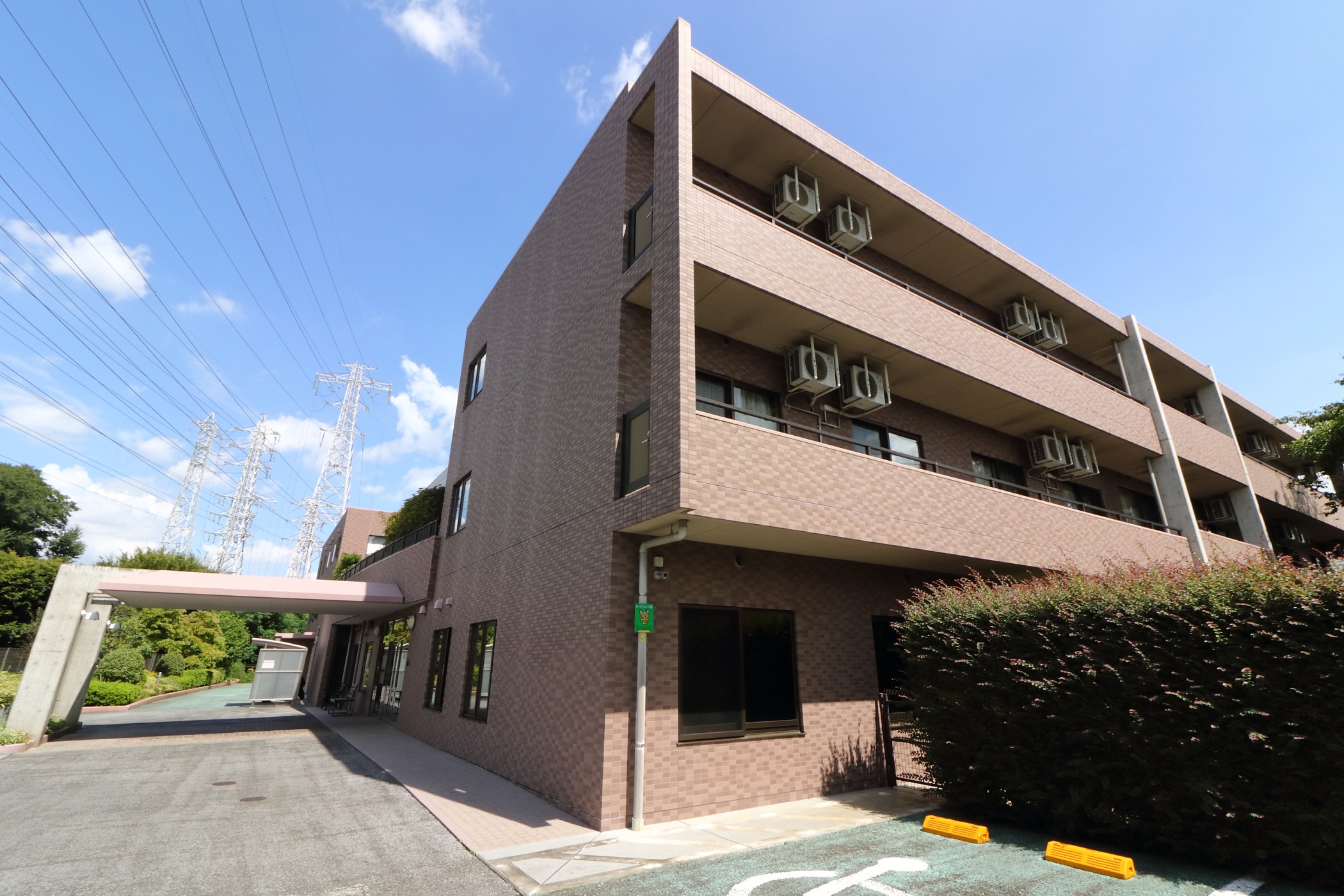 もみの樹・杉並 新写真
