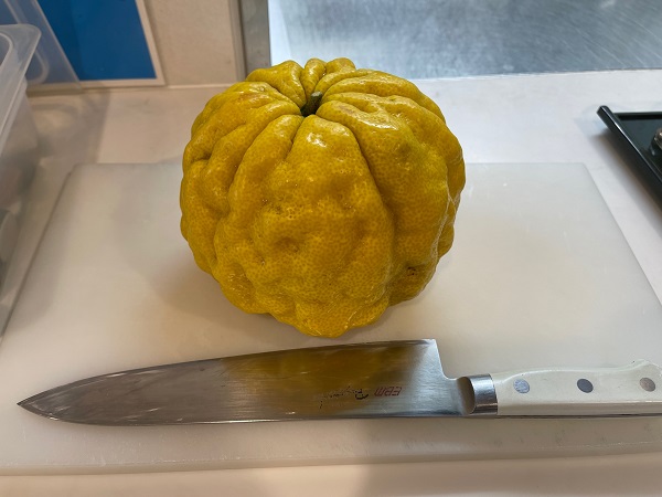 柚子七味仕込み