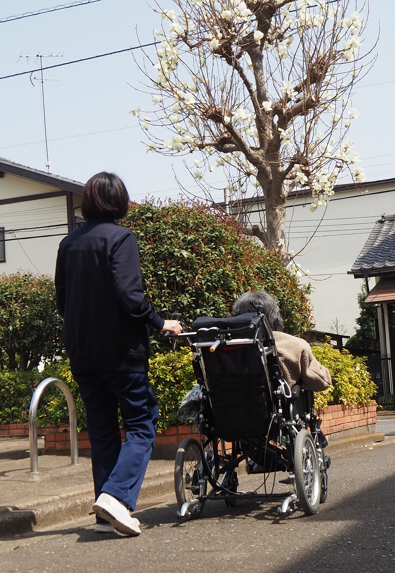 お花見・散策