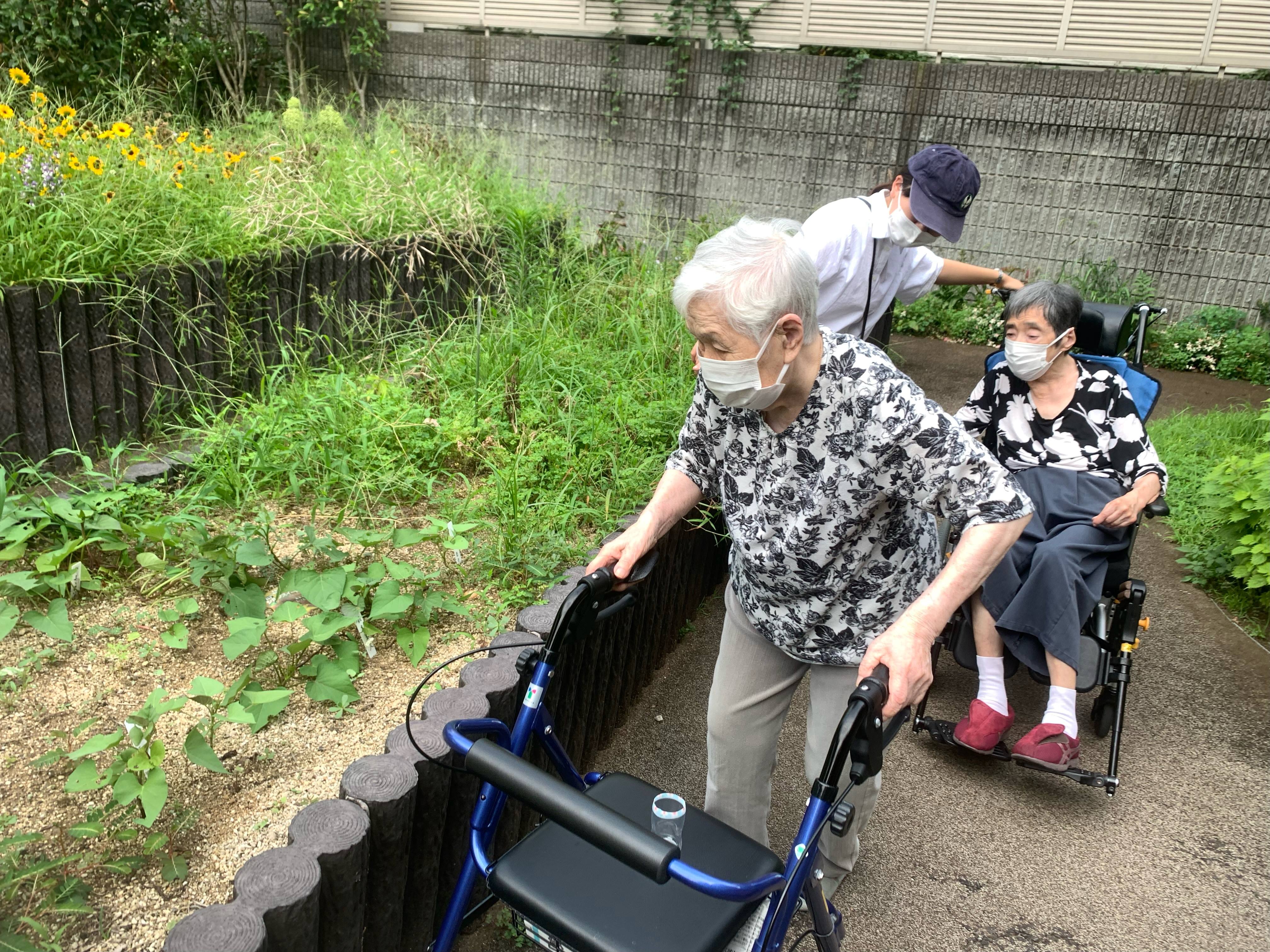 みどりの時間