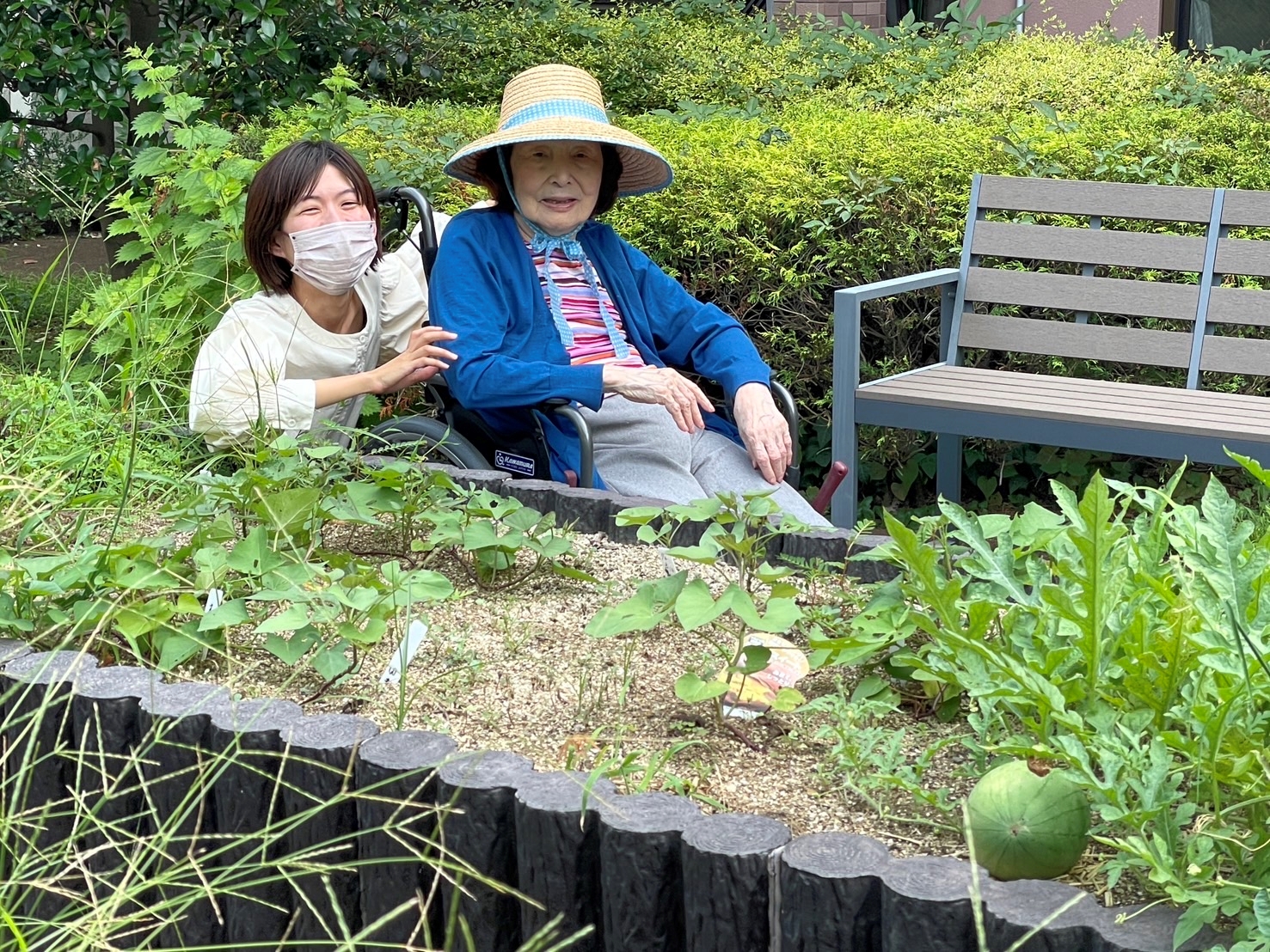 みどりの時間