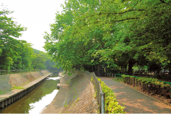 和田堀公園