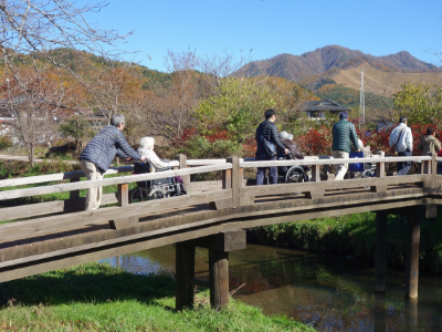 日帰り旅行・オプショナルツアー