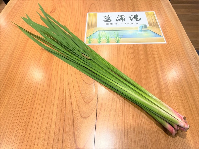 菖蒲湯